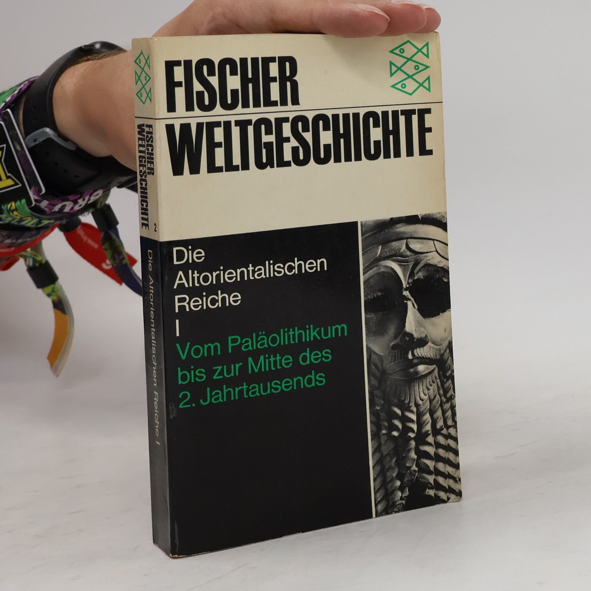 Pierre Grimal Fischer Weltgeschichte 7. Der Aufbau des Römischen Reiches: Die Mittelmeerwelt im Altertum III