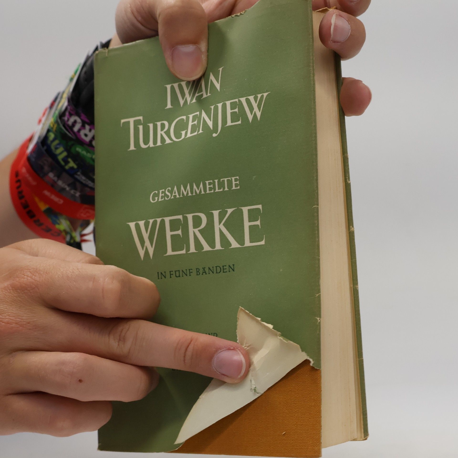 Iwan Turgieniew Gesammelte Werke 1