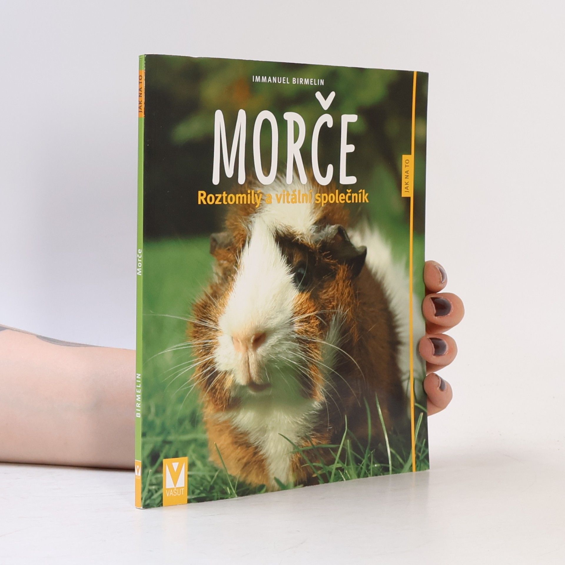 Immanuel Birmelin Morče. Roztomilý a vitální společník