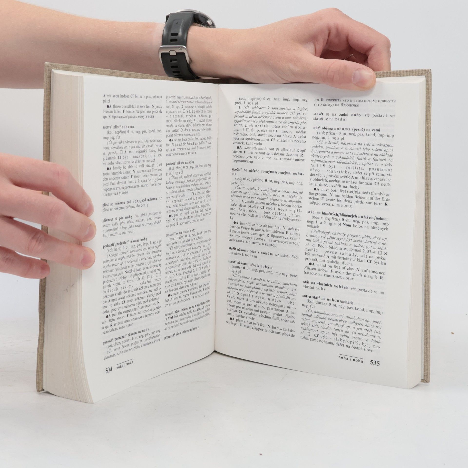 Kolektiv autorů Slovník české frazeologie a idiomatiky. Výrazy slovesné. A-P