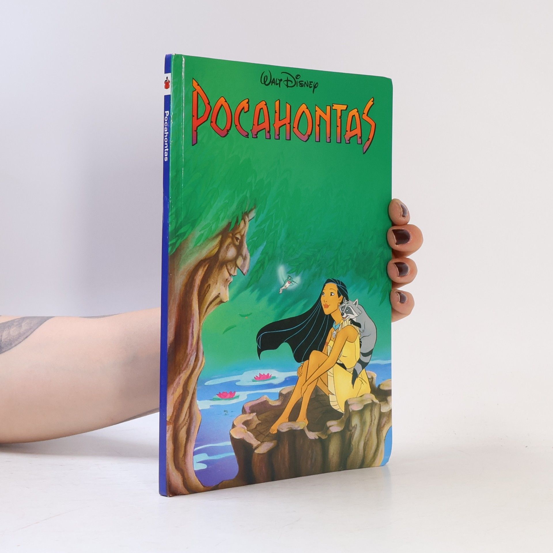Walt Disney Pocahontas