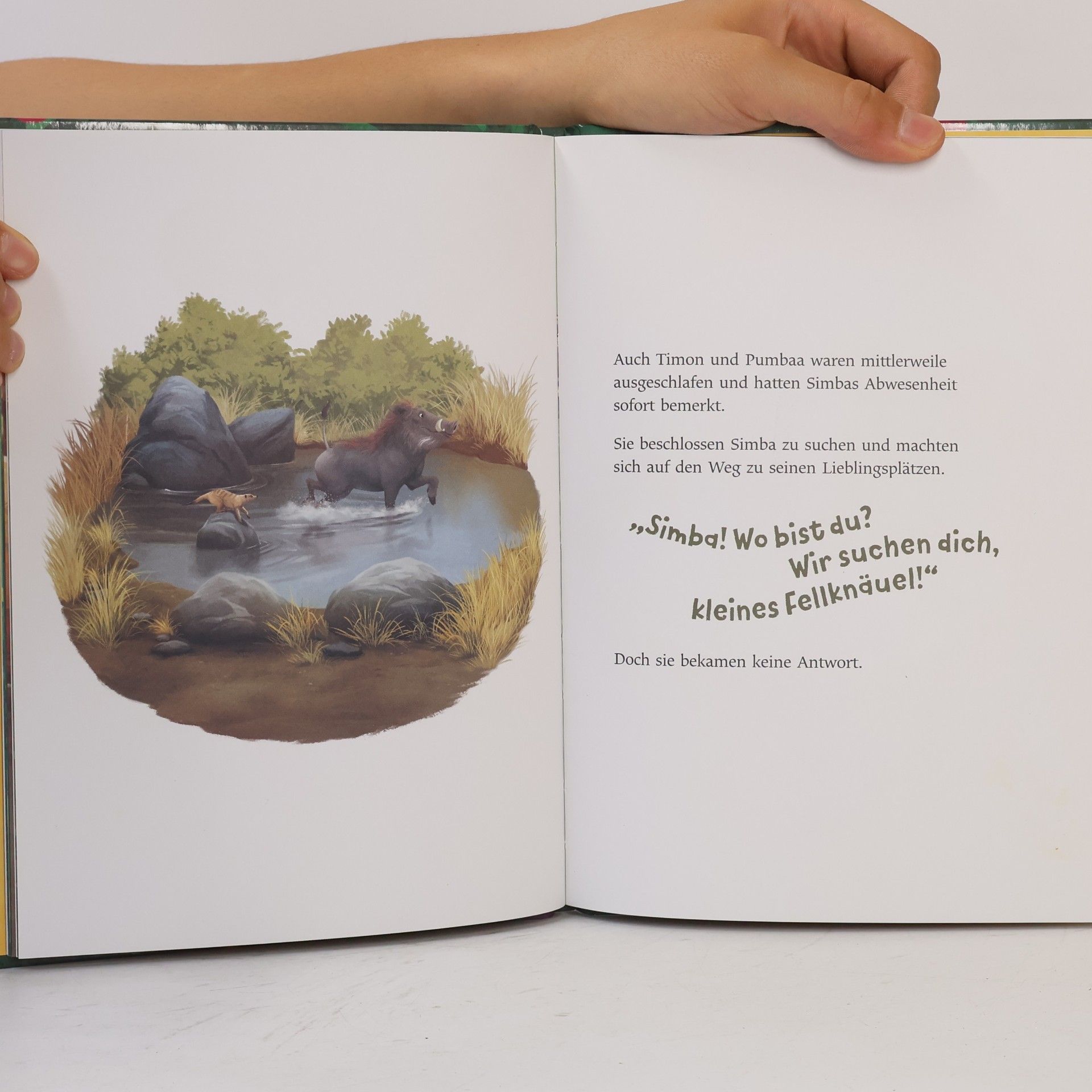 Autorenkollektiv Der König der Löwen. Hakuna Matata