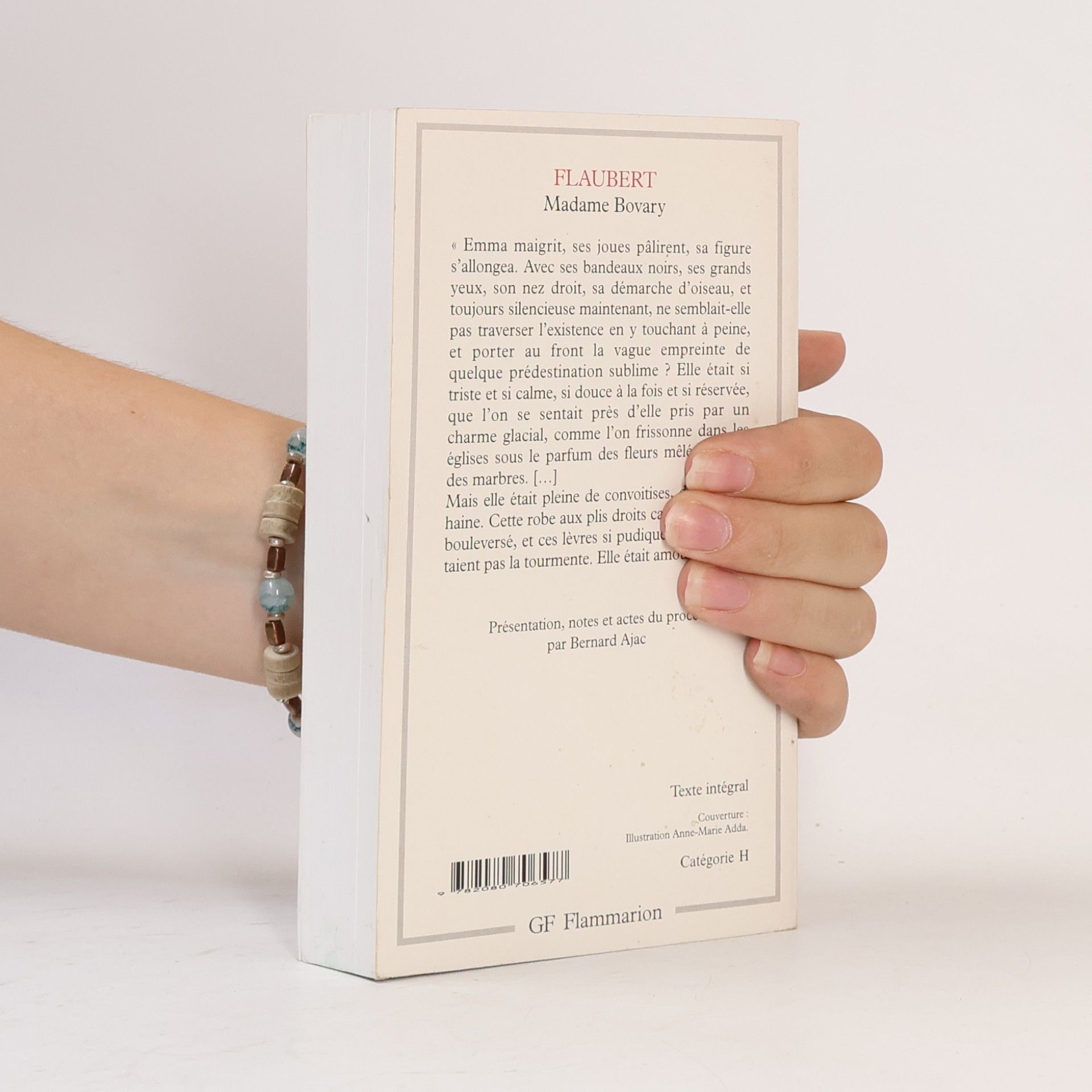 Gustave Flaubert Madame Bovary