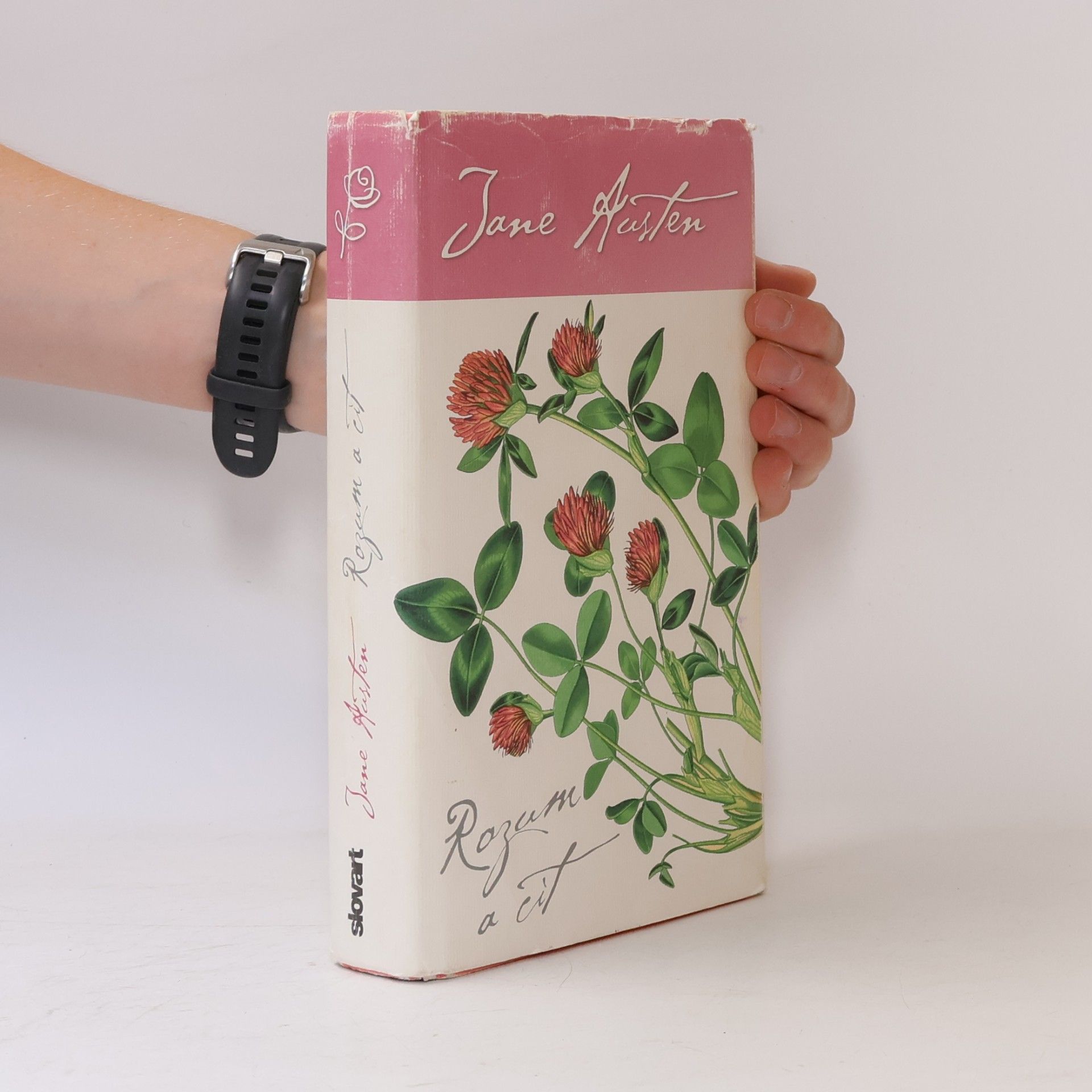 Jane Austenová Rozum a cit