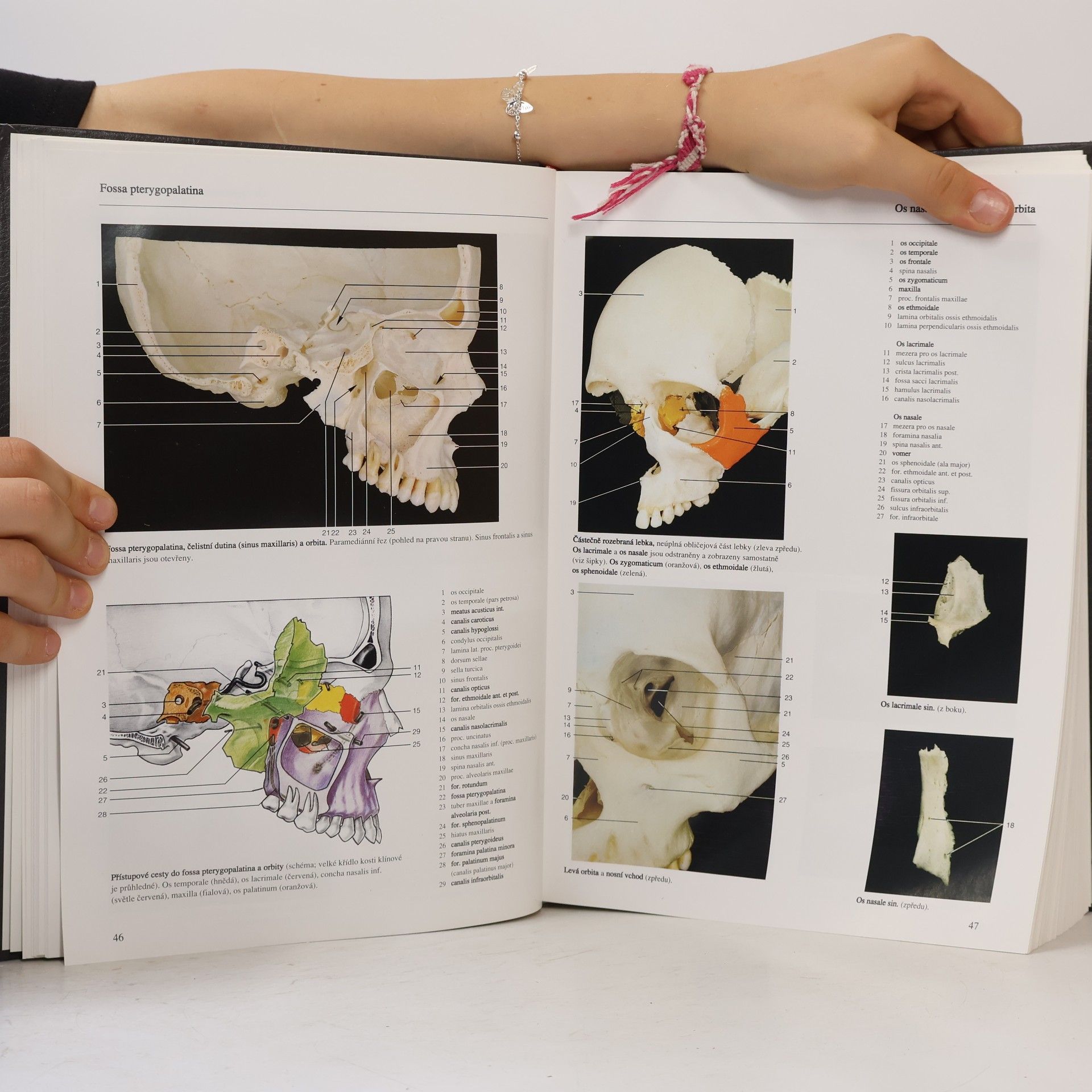 Johannes W. Johannes Wilhelm Rohen Anatomie člověka