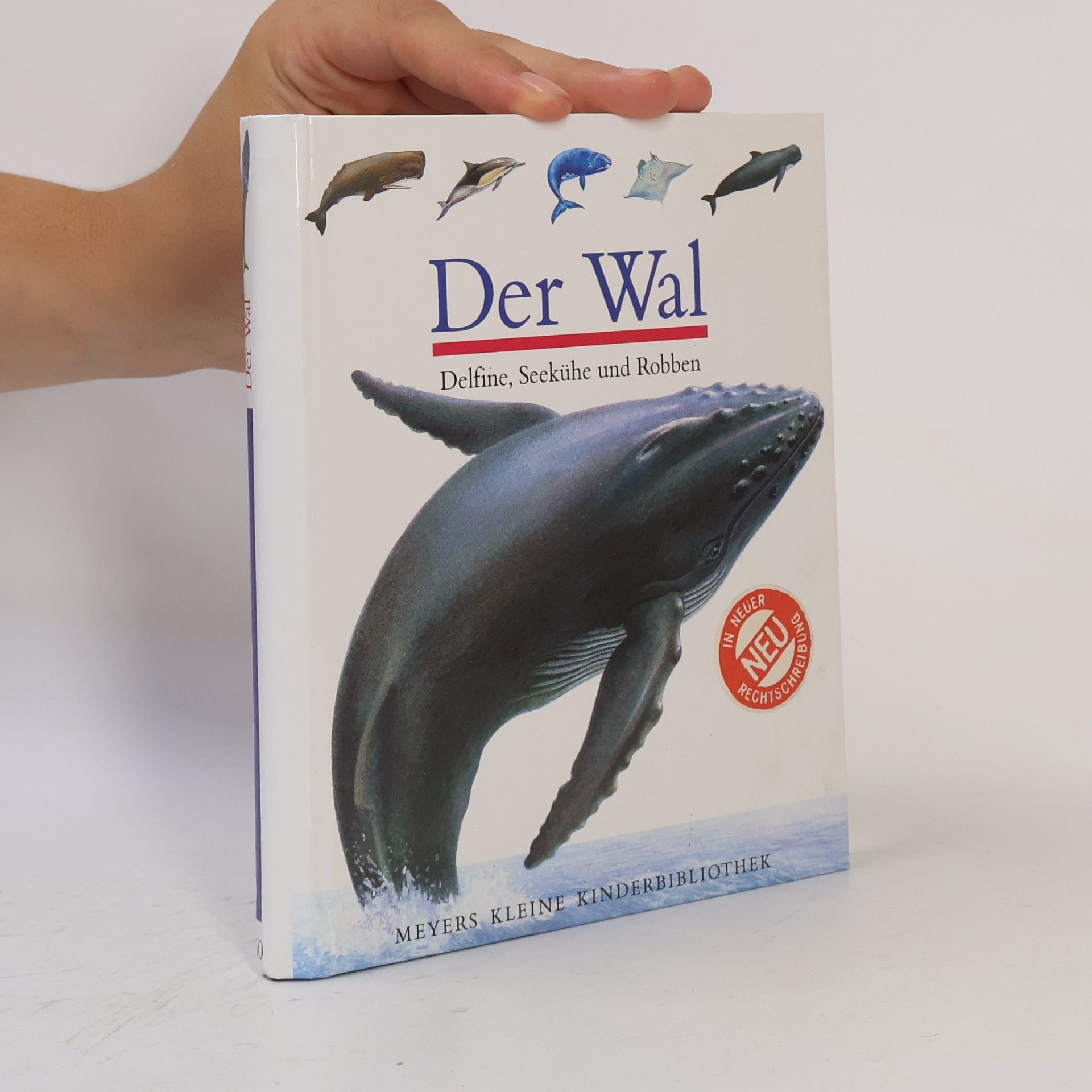 Ute Fuhr Der Wal