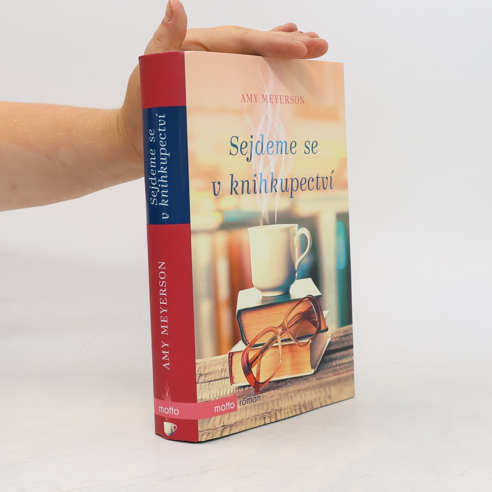 Amy Meyerson Sejdeme se v knihkupectví