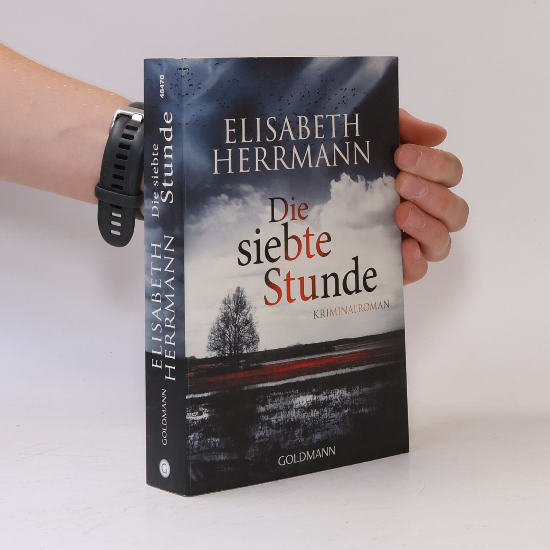 Elisabeth Hermann Die siebte Stunde