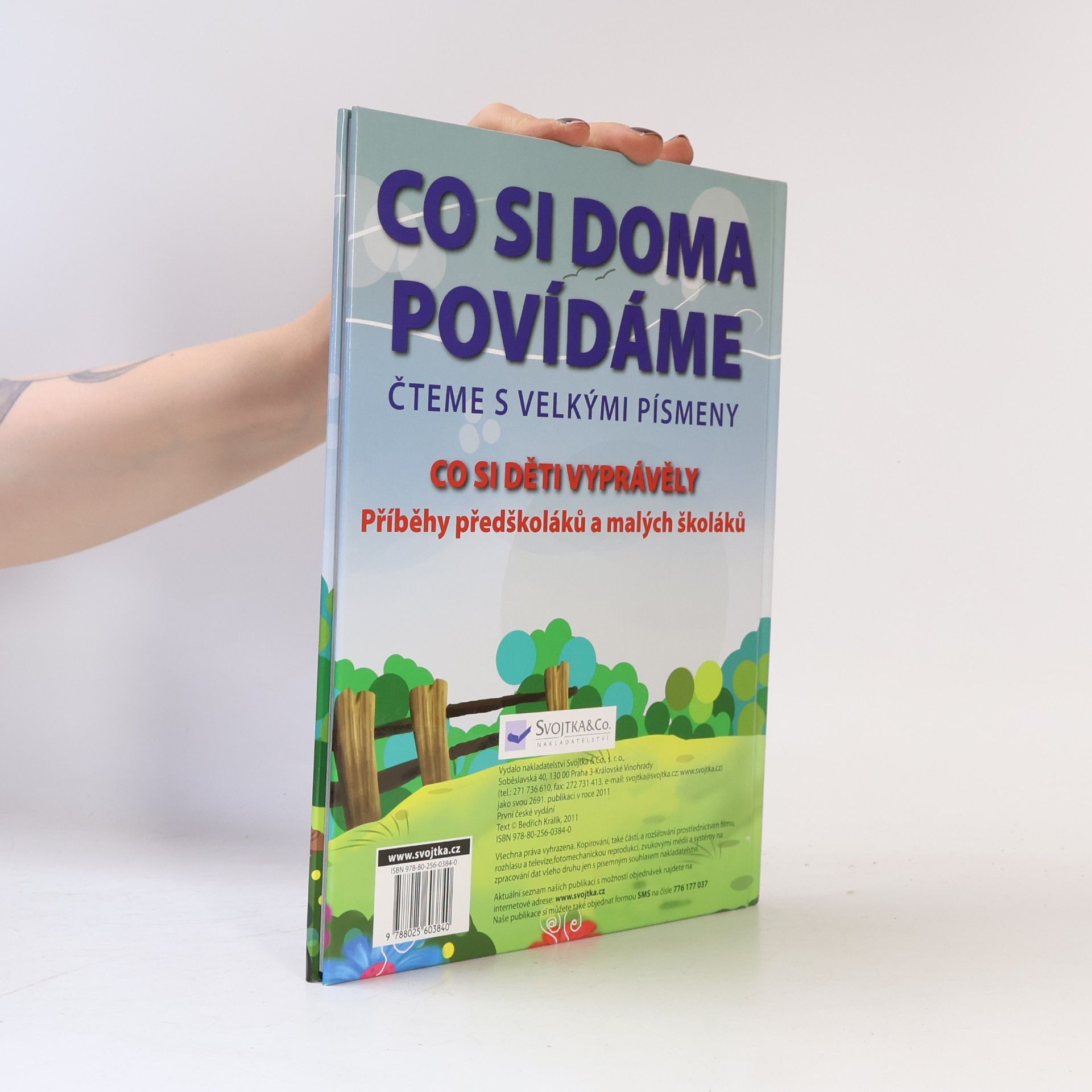 Jiří Dvořák Co si doma povídáme: Příběhy předškoláků a malých školáků : čteme s velkými písmeny