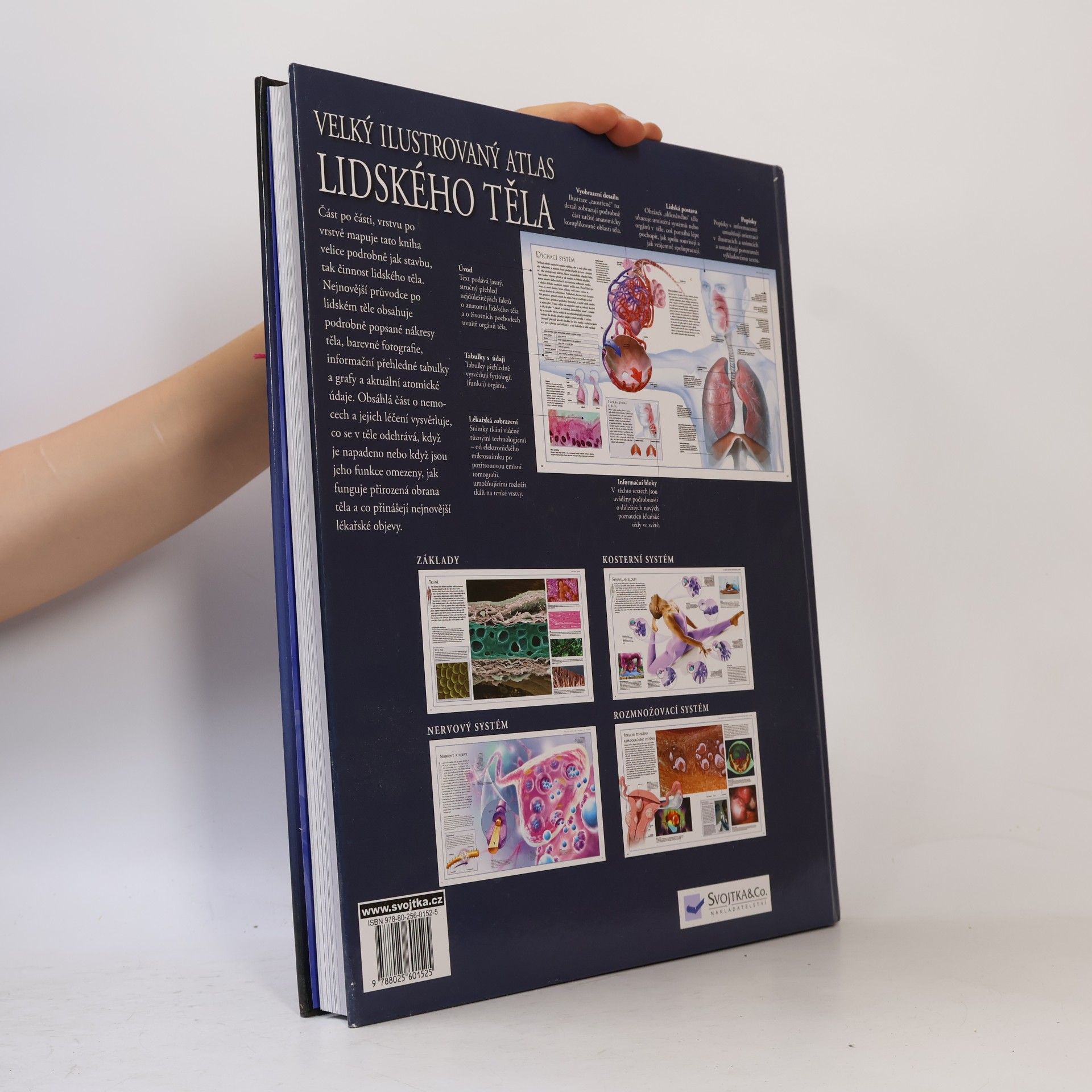 Beverly McMillan Velký ilustrovaný atlas lidského těla