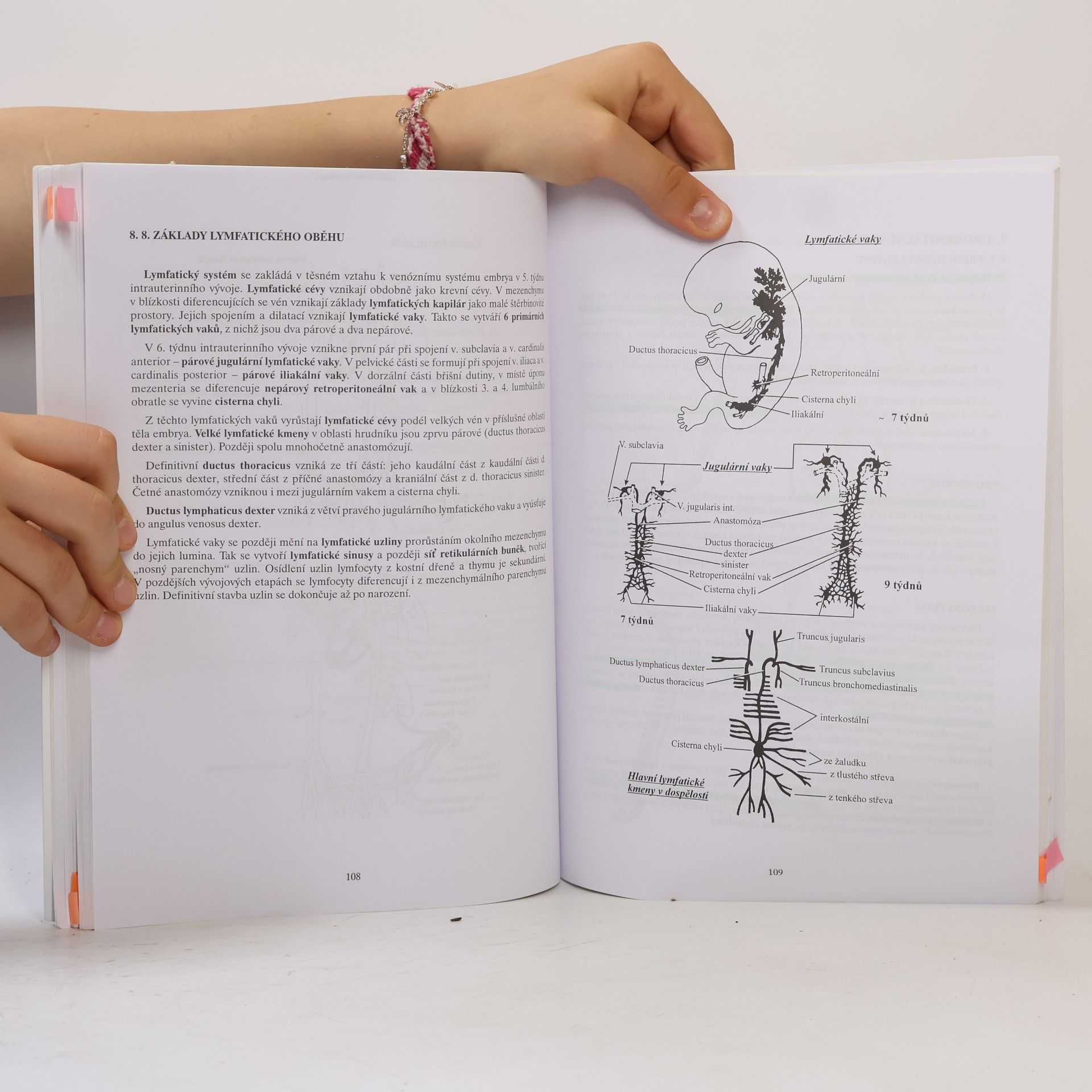 Jiří Malínský Přehled embryologie člověka v obrazech