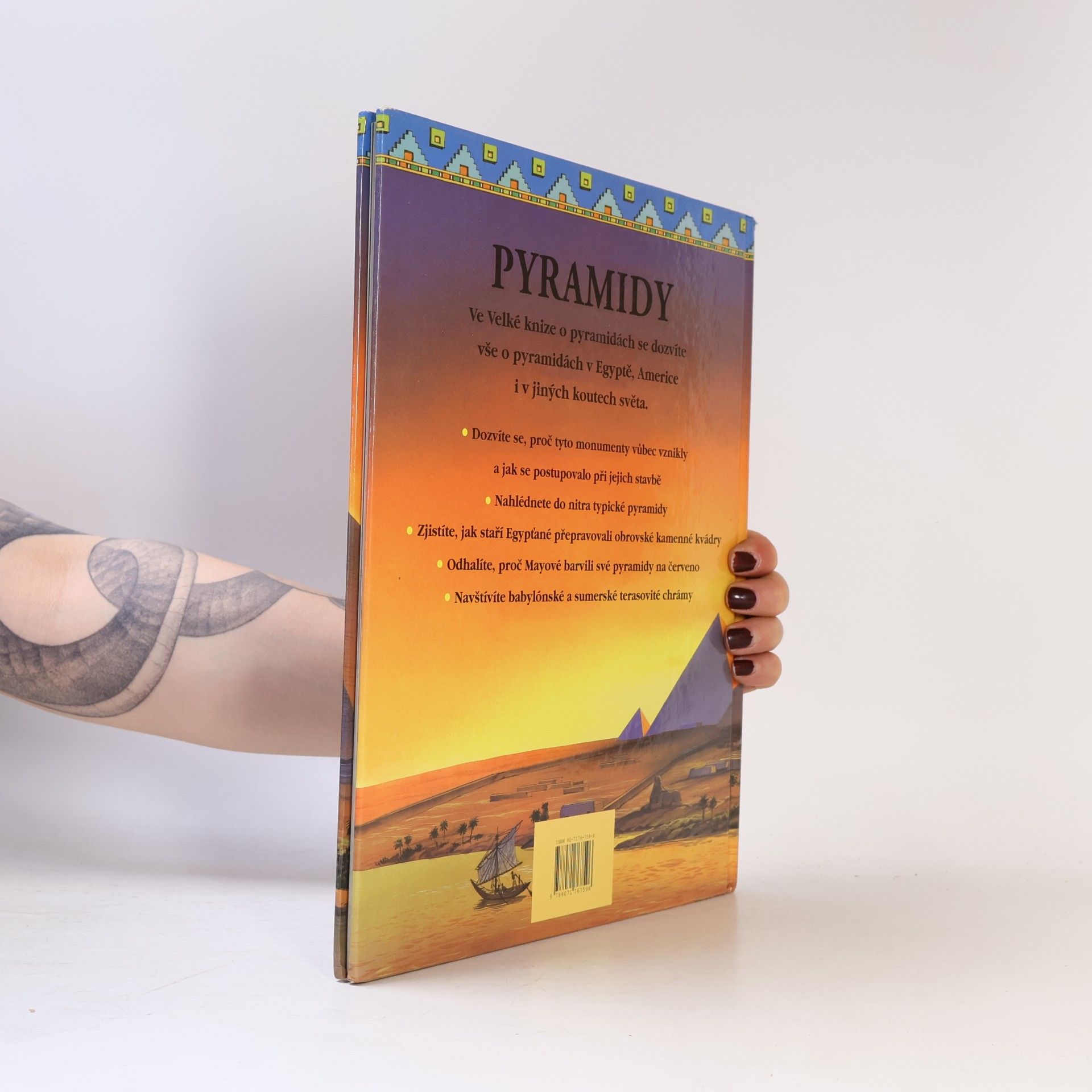 Anne Marie Millard Velká kniha o pyramidách