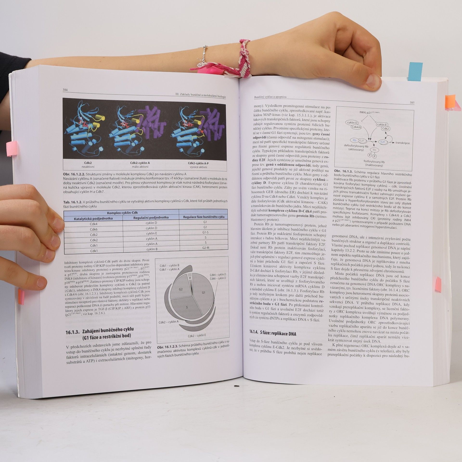 Bohuslav Matouš Základy lékařské chemie a biochemie