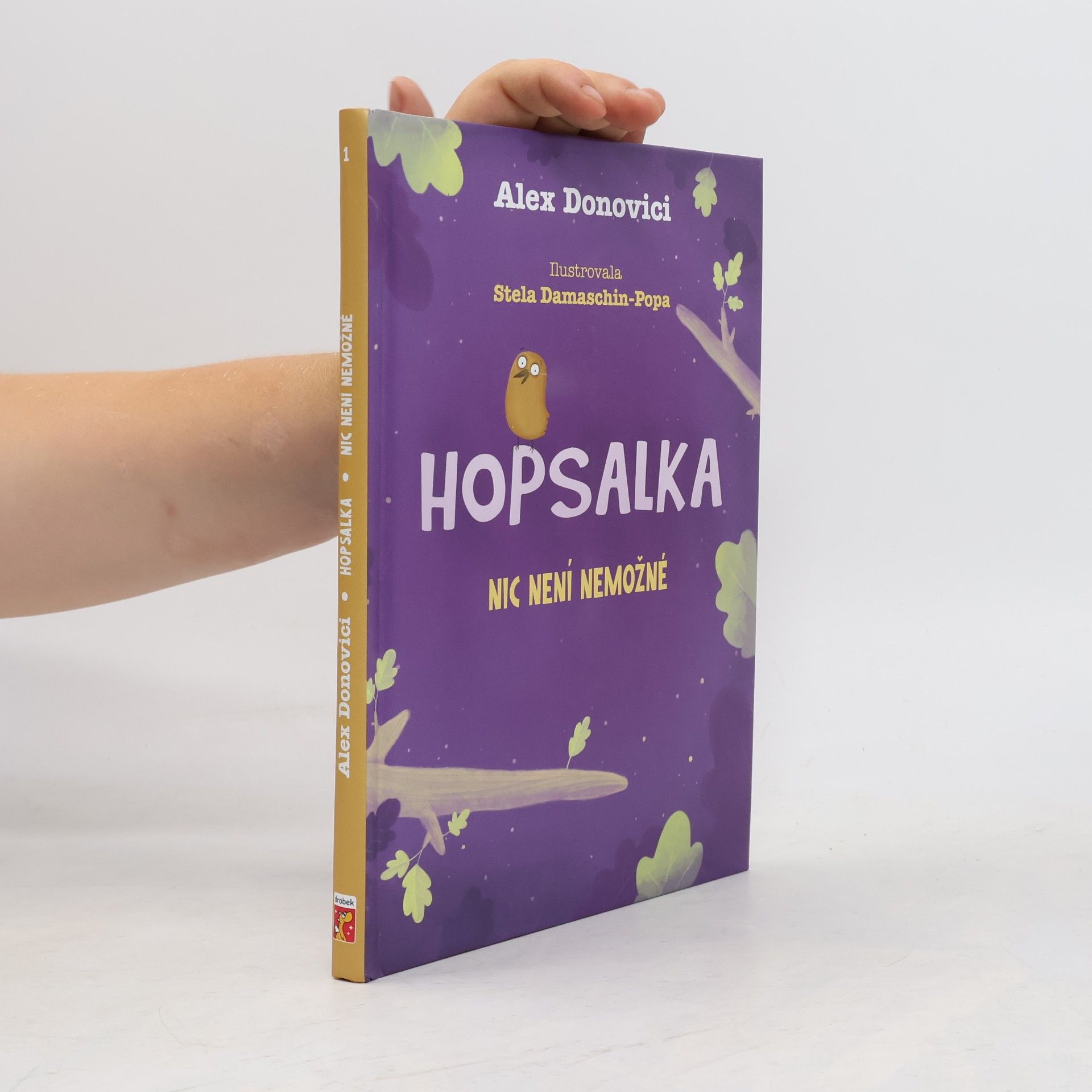 Stela DamaschinPopa Hopsalka. Nic není nemožné