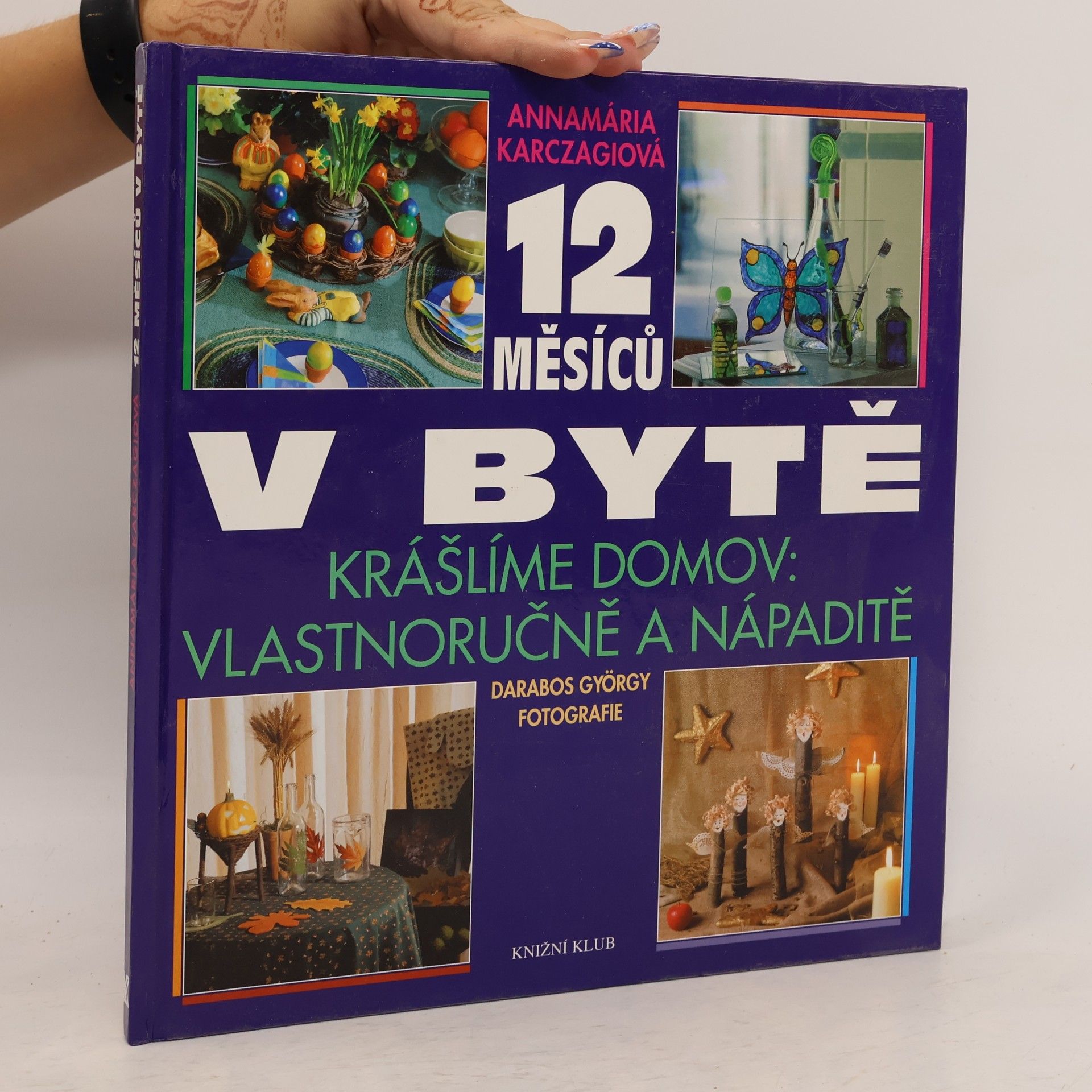 György Darabos 12 měsíců v bytě : krášlíme domov vlastnoručně a nápaditě