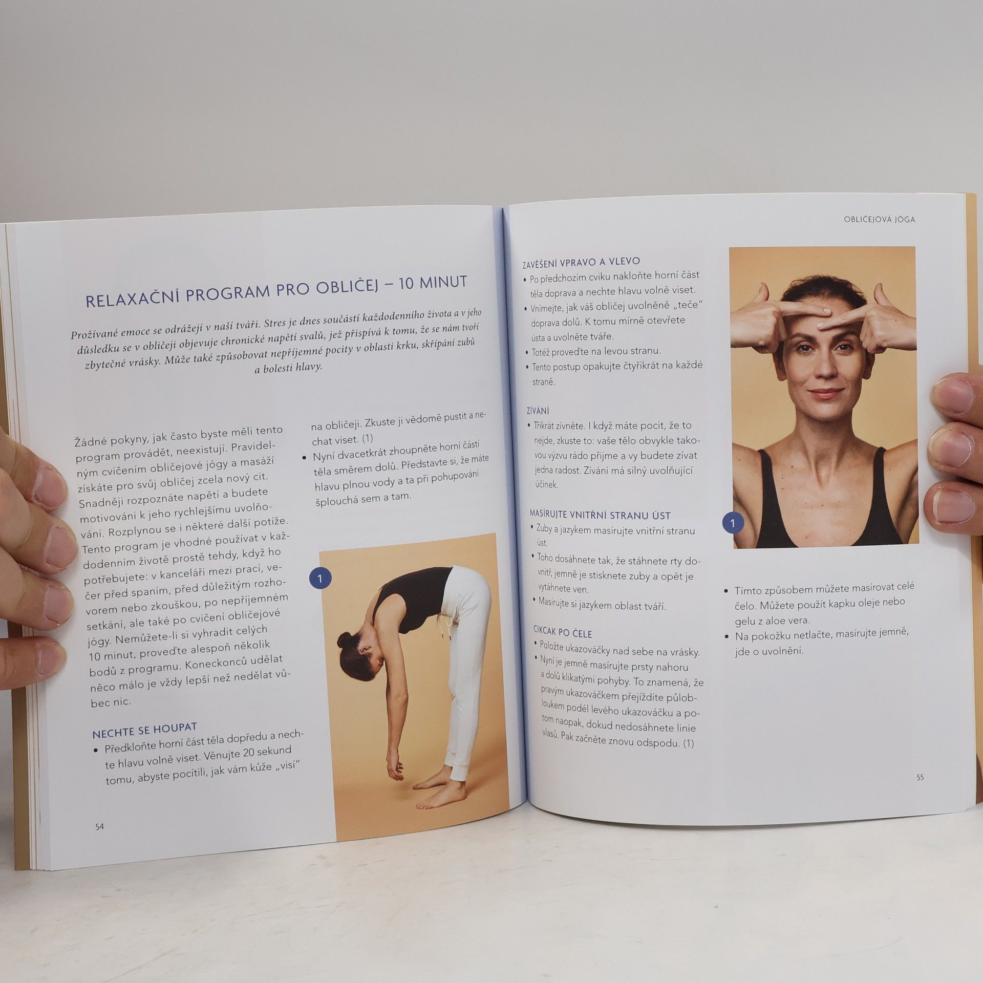 Christina Schmid Přírodní facelifting. Za 10 minut denně o několik let mladší