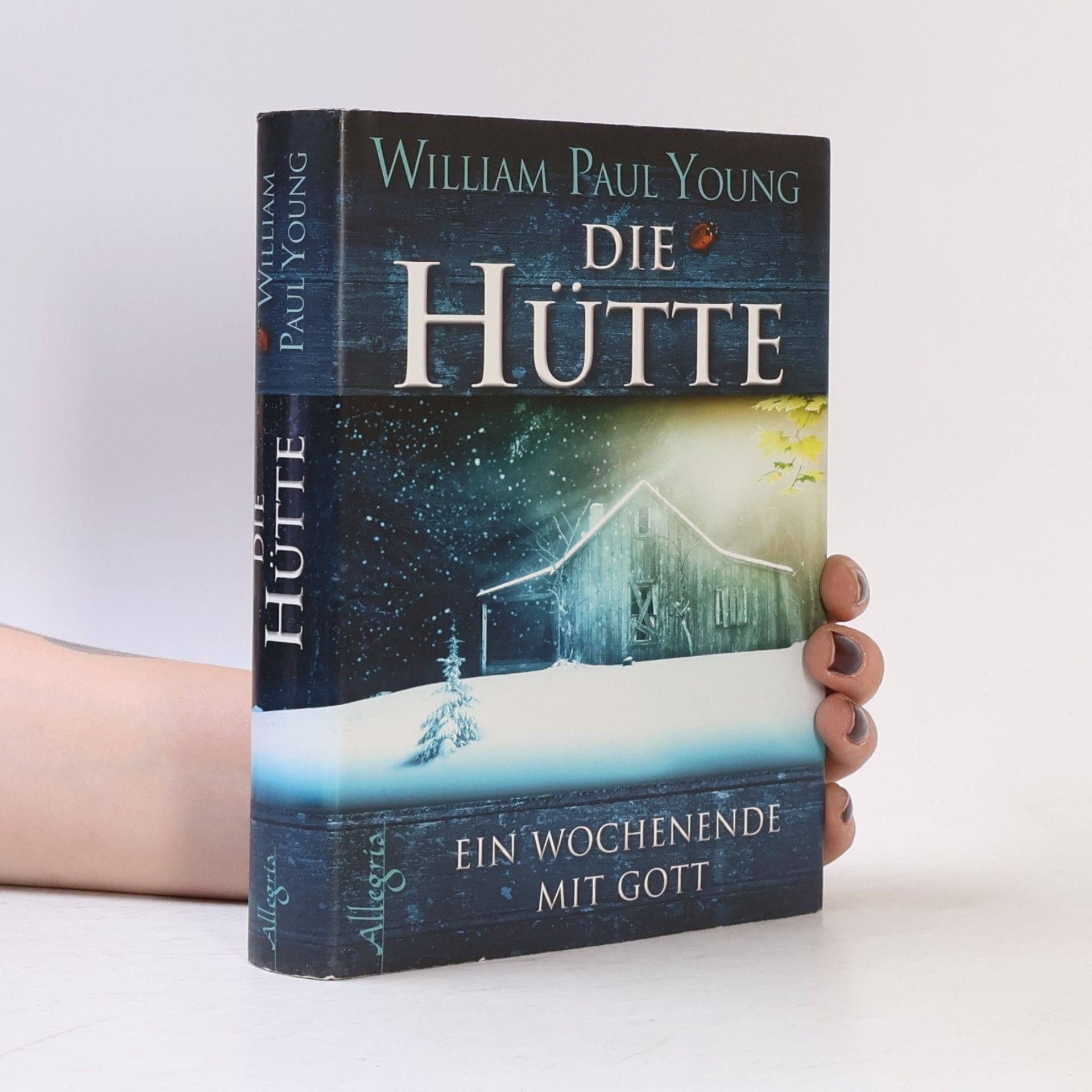 William Paul Young Die Hütte
