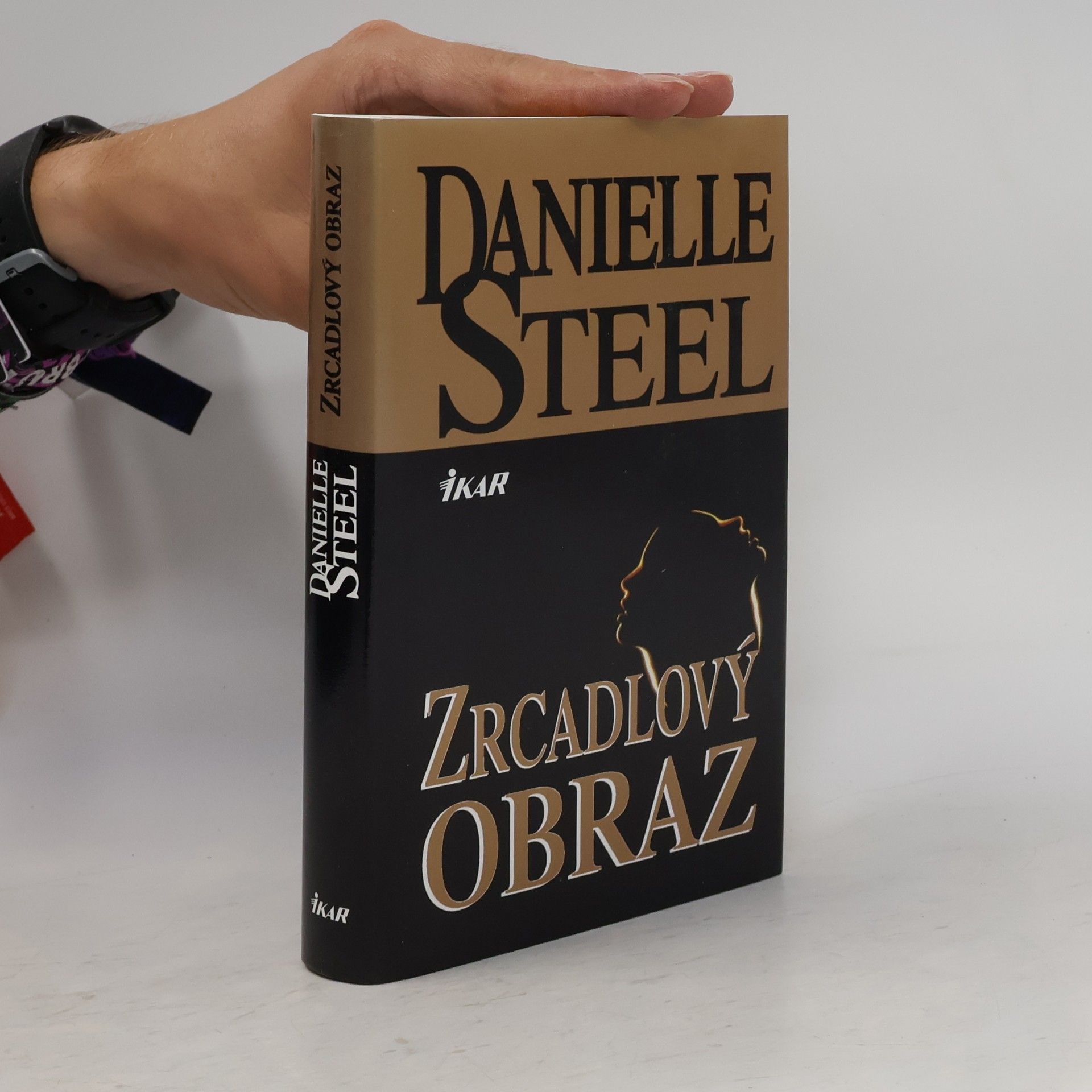 Danielle Steel Zrcadlový obraz