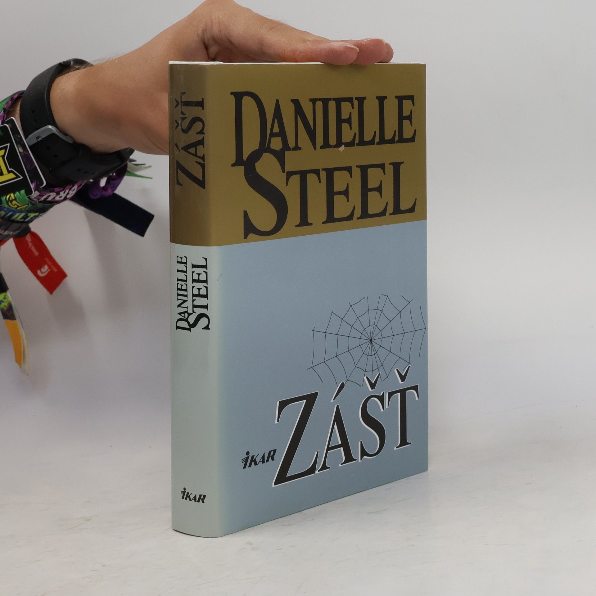 Danielle Steel Zášť