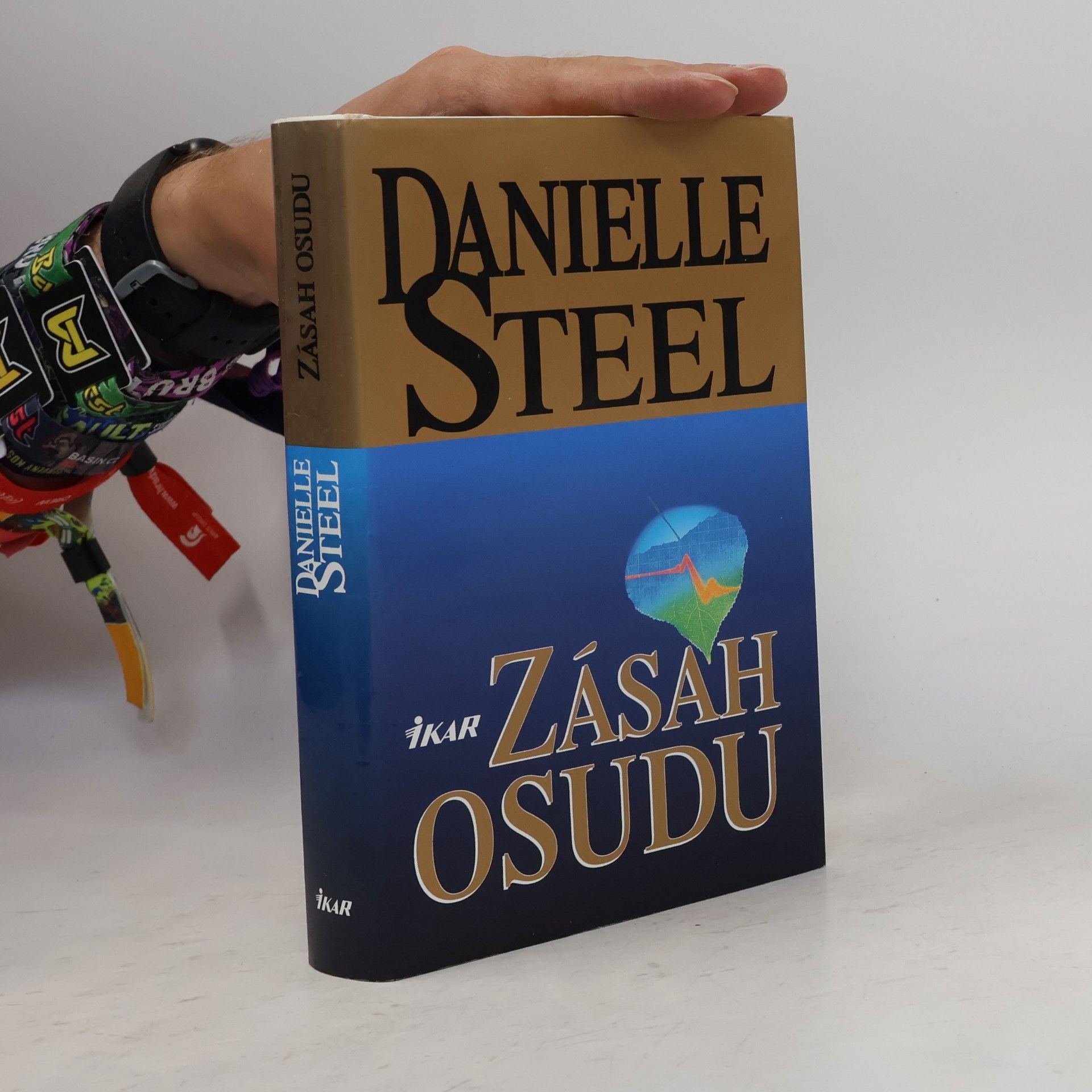 Danielle Steel Zásah osudu