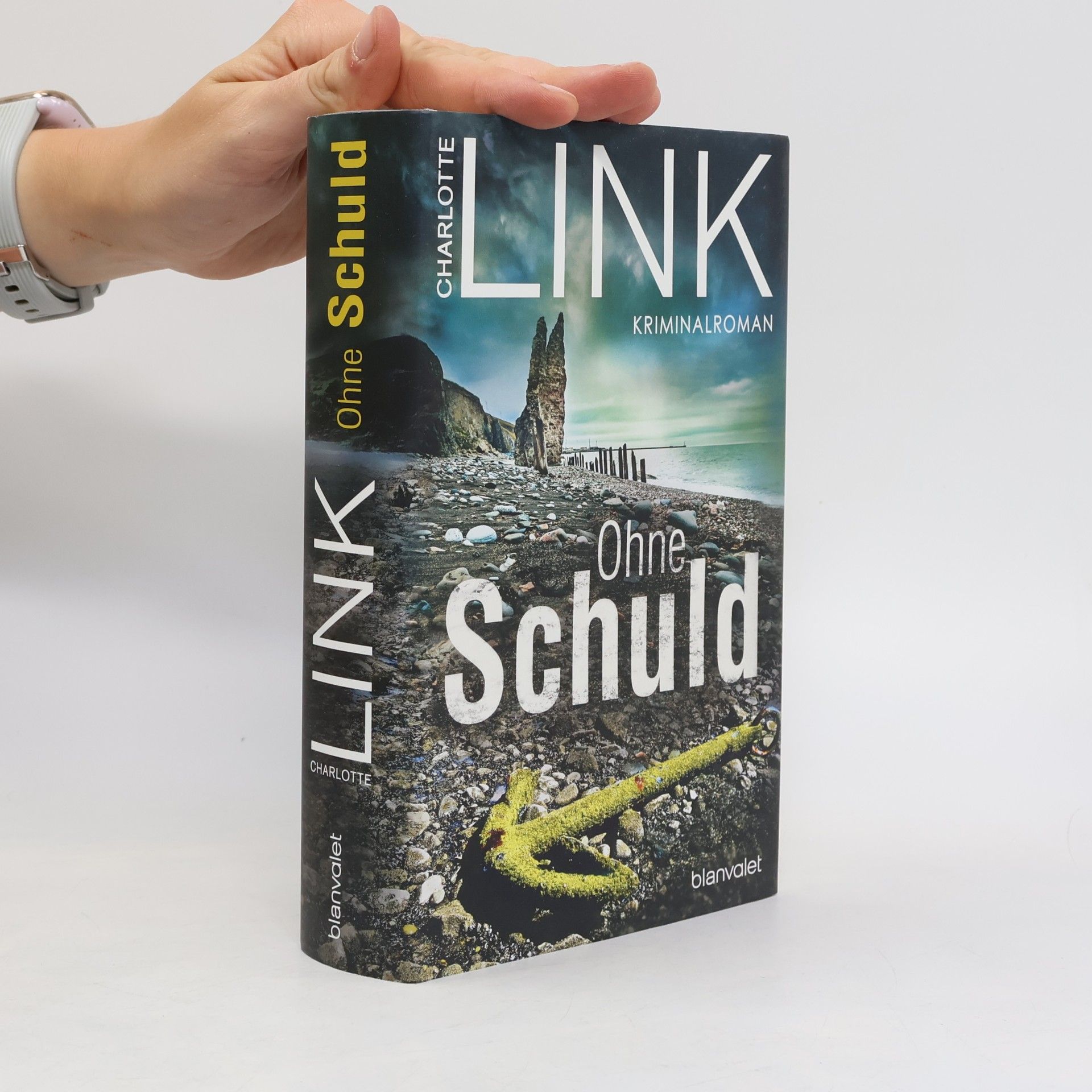 Charlotte Link Ohne Schuld
