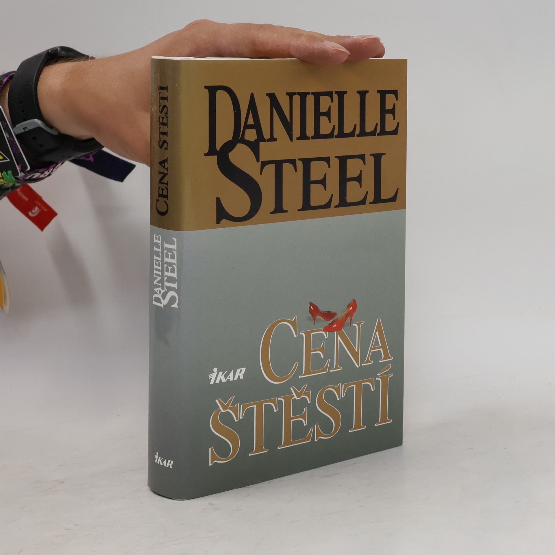 Danielle Steel Cena štěstí