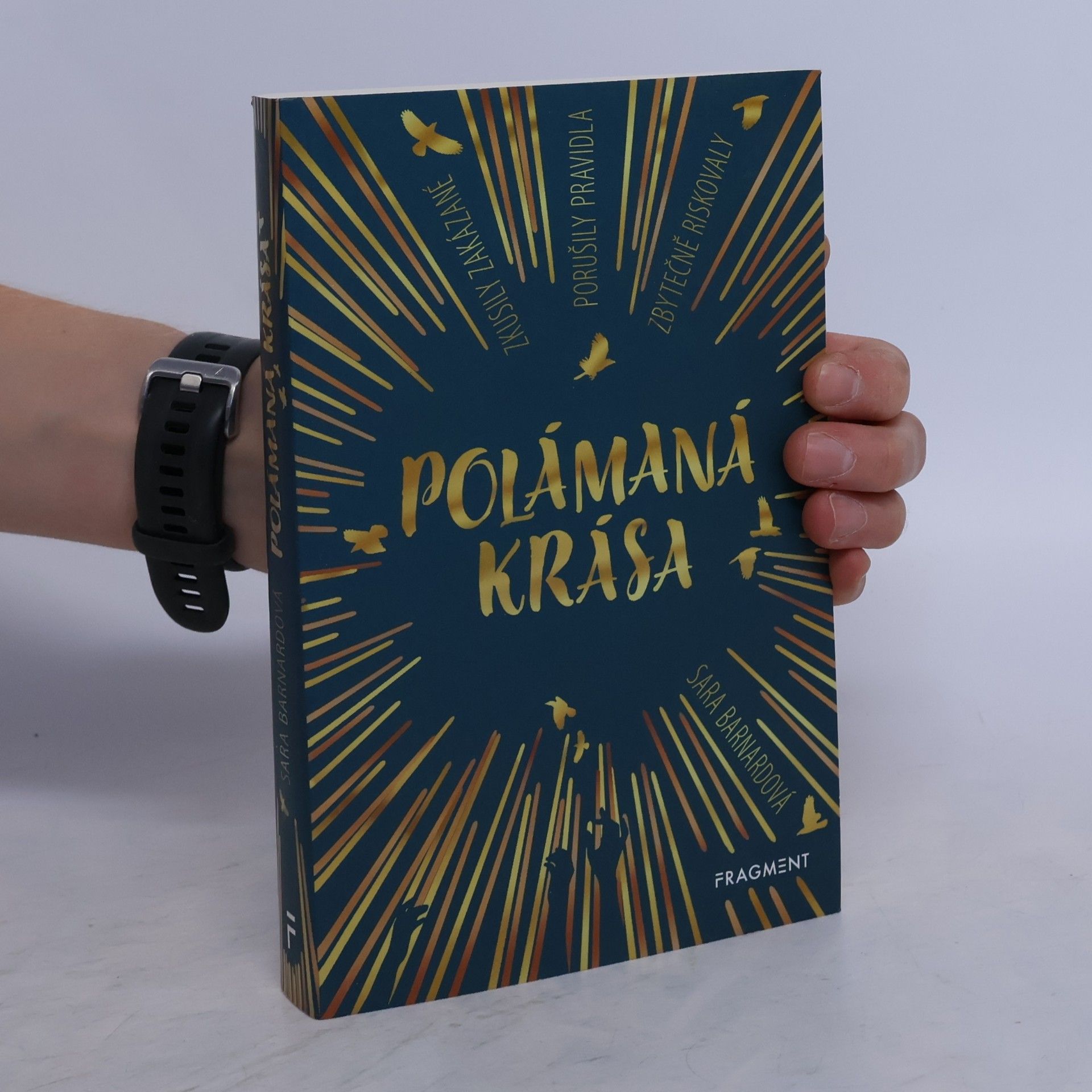 Sara Barnard Polámaná krása