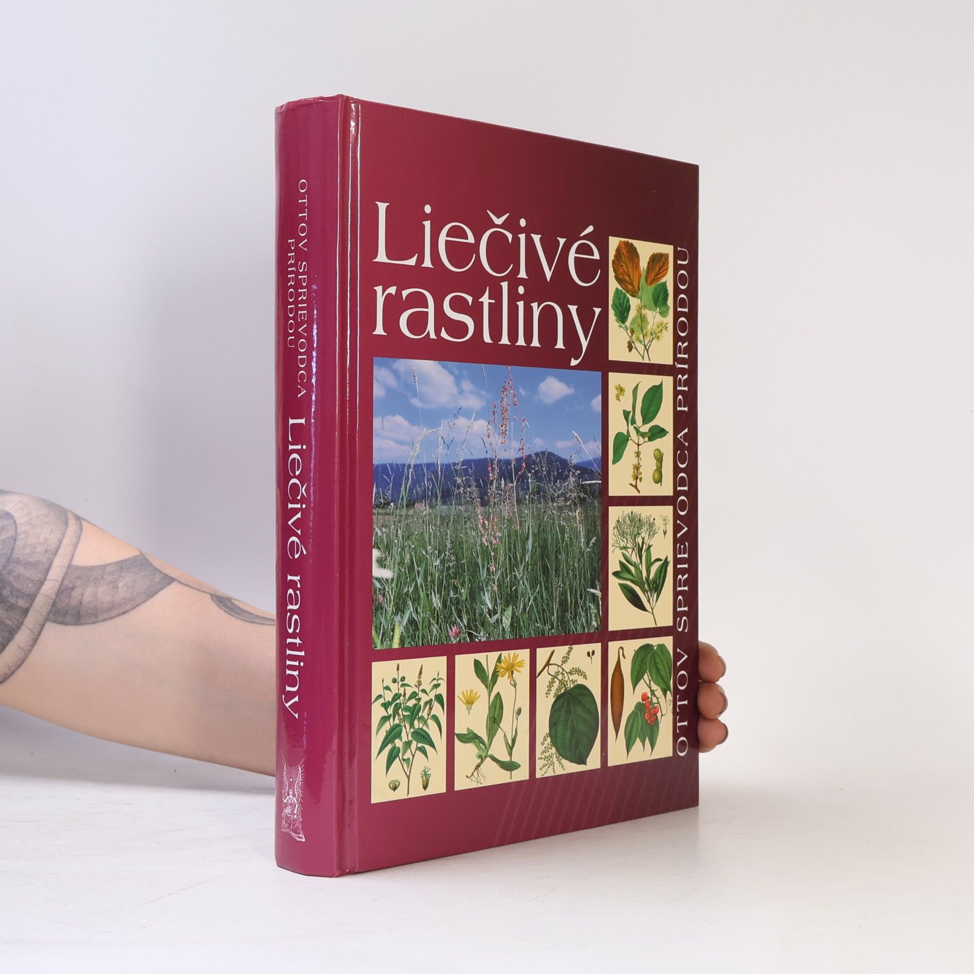 Peter Schönfelder Liečivé rastliny