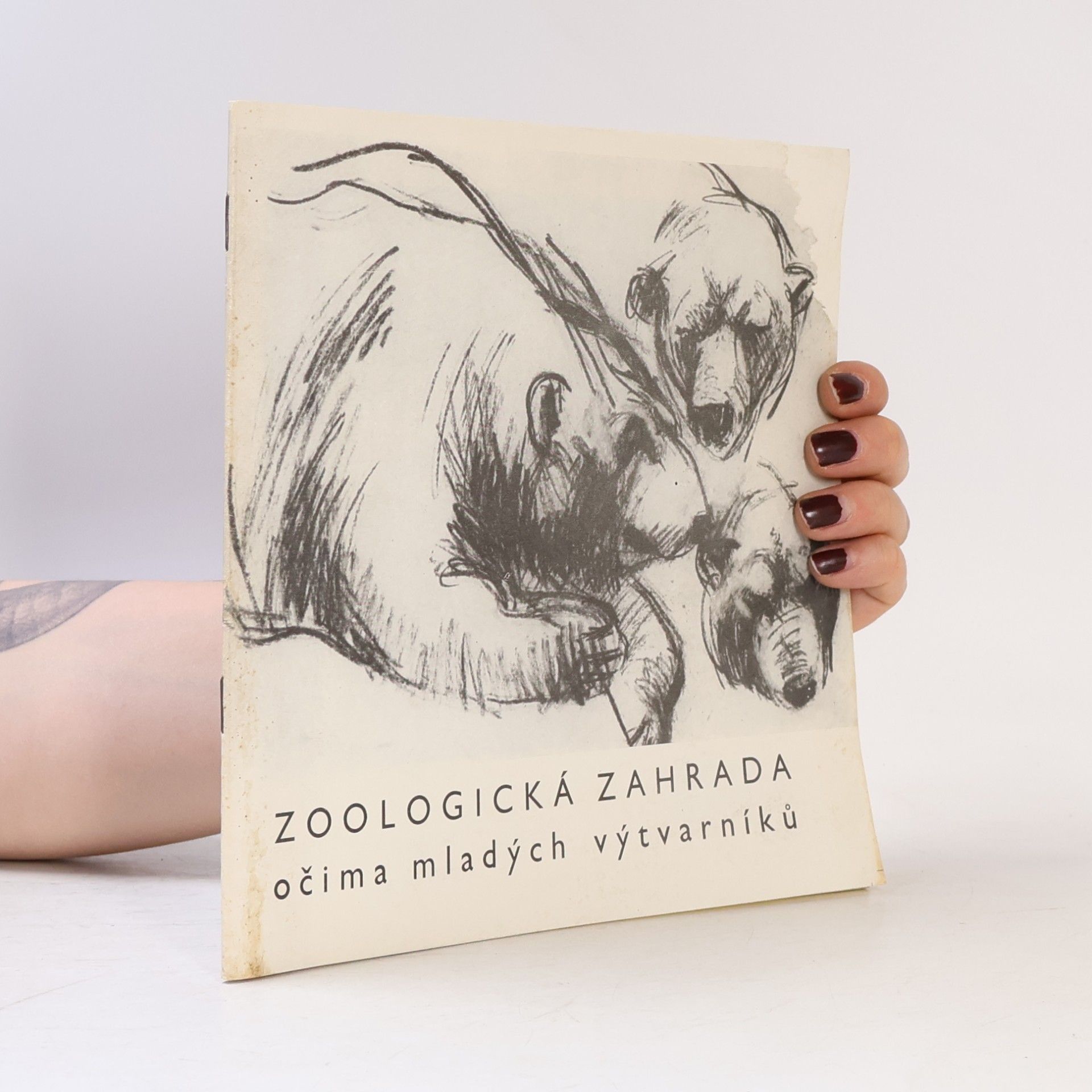 Kolektiv autorů Zoologická zahrada očima mladých výtvarníků