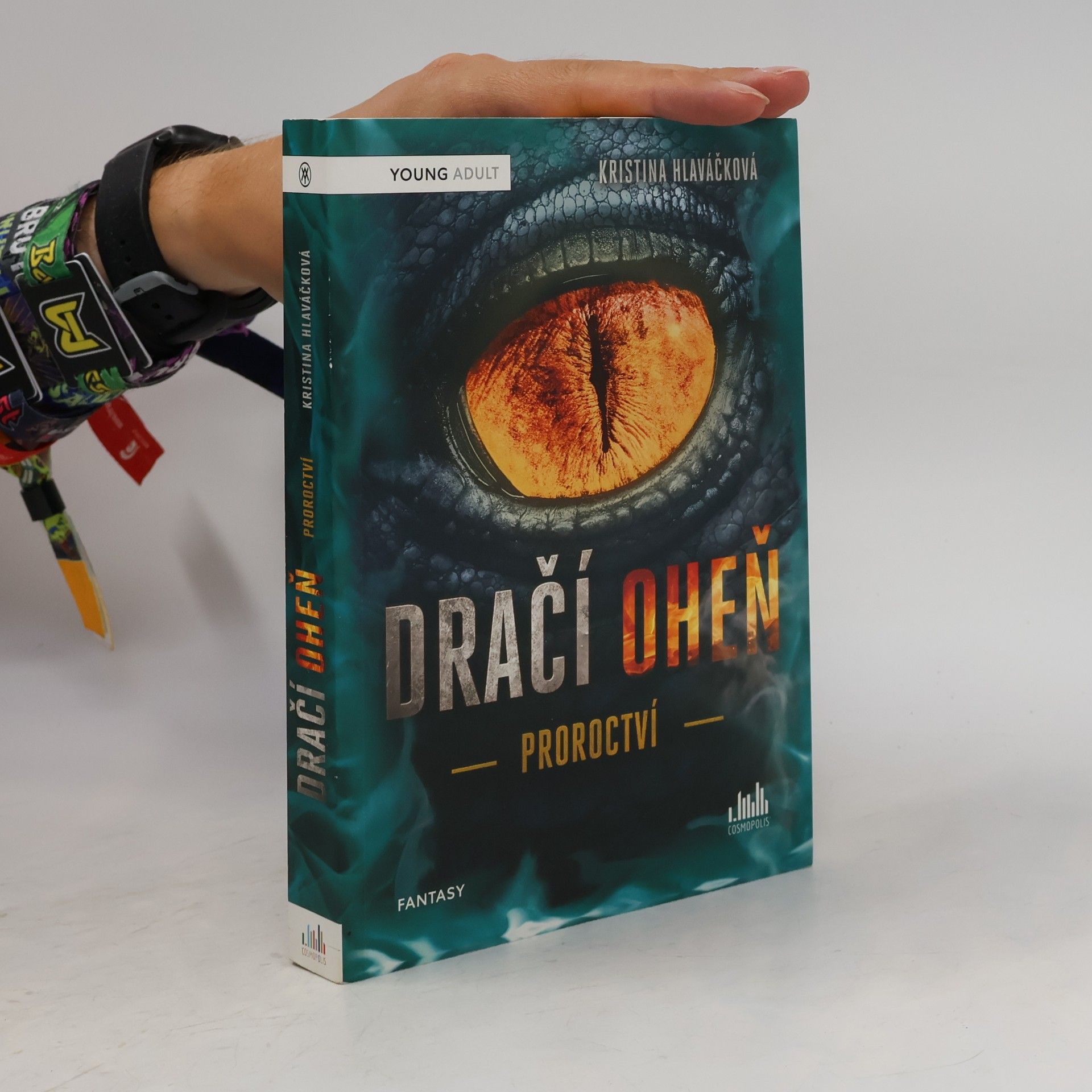 Kristina Hlaváčková Dračí oheň. Proroctví
