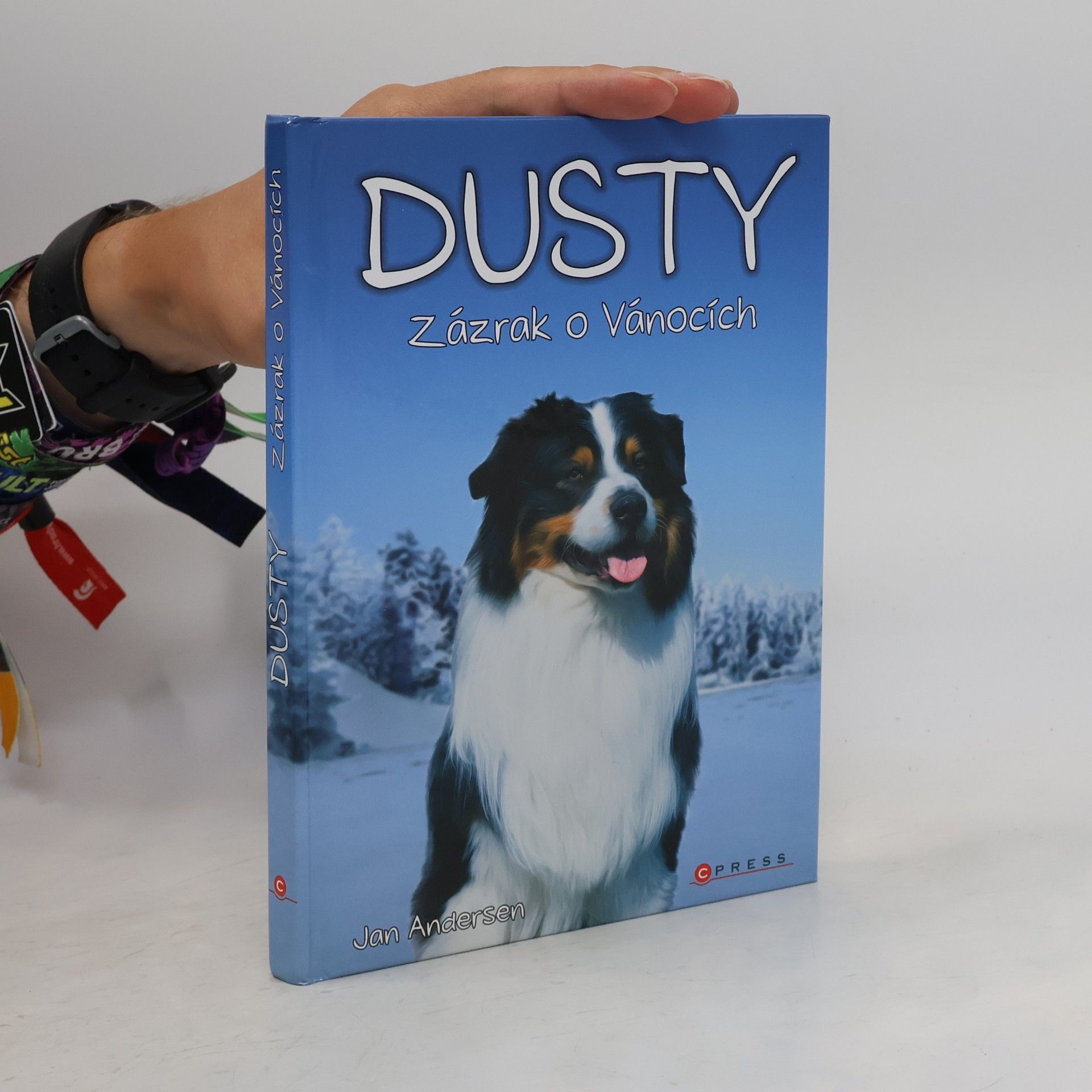 Wolfram Hänel Dusty: Zázrak o Vánocích