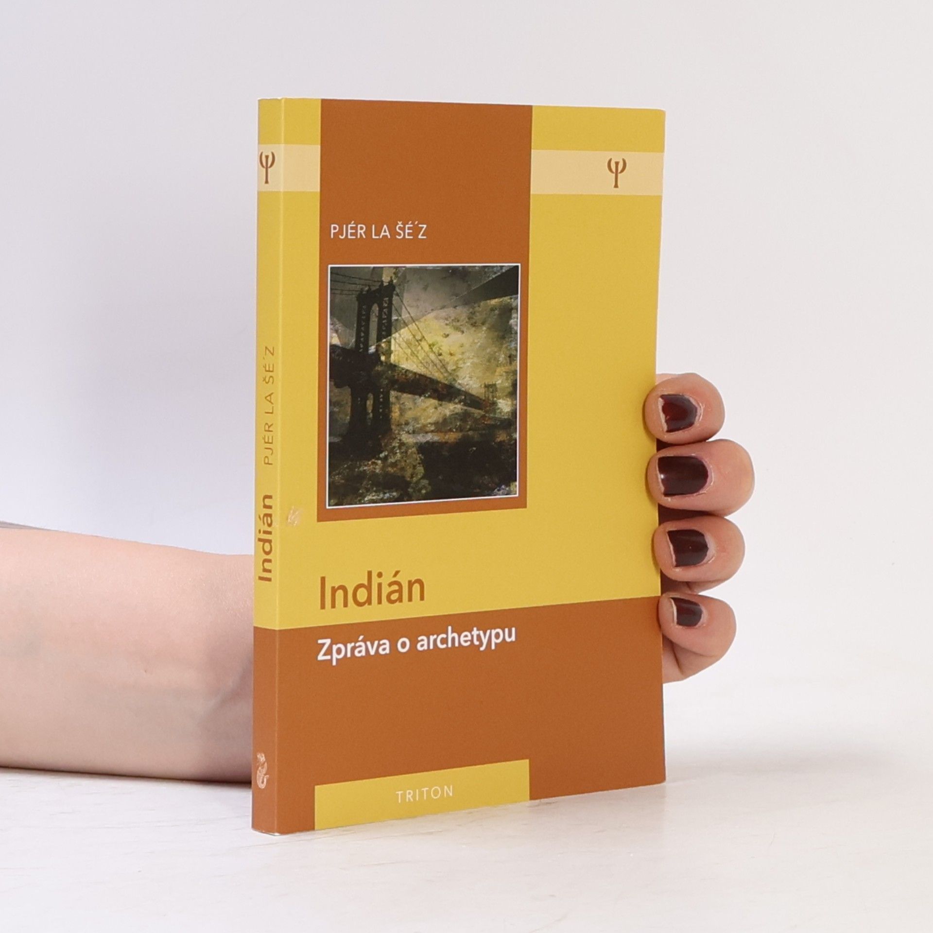 Pjér la Šéz Indián: Zpráva o archetypu