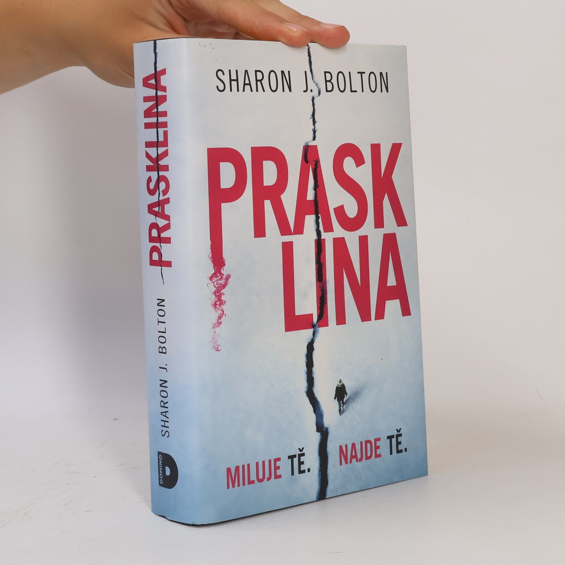 Sharon J. Bolton Prasklina
