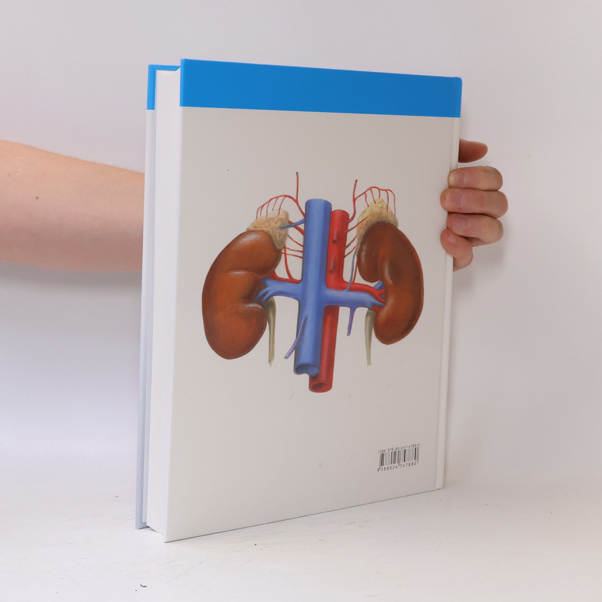 Radomír Čihák Anatomie 2