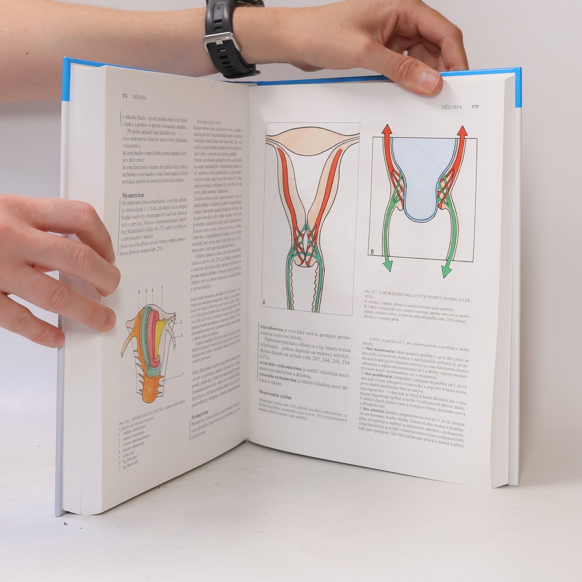 Radomír Čihák Anatomie 2