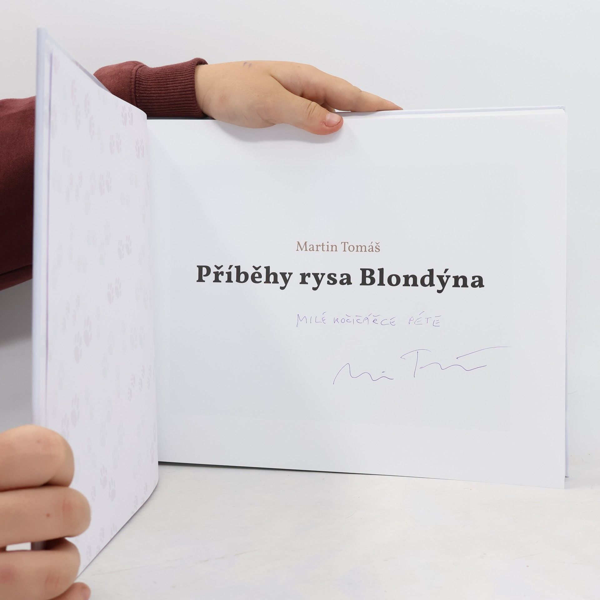 Martin Tomáš Příběhy rysa Blondýna