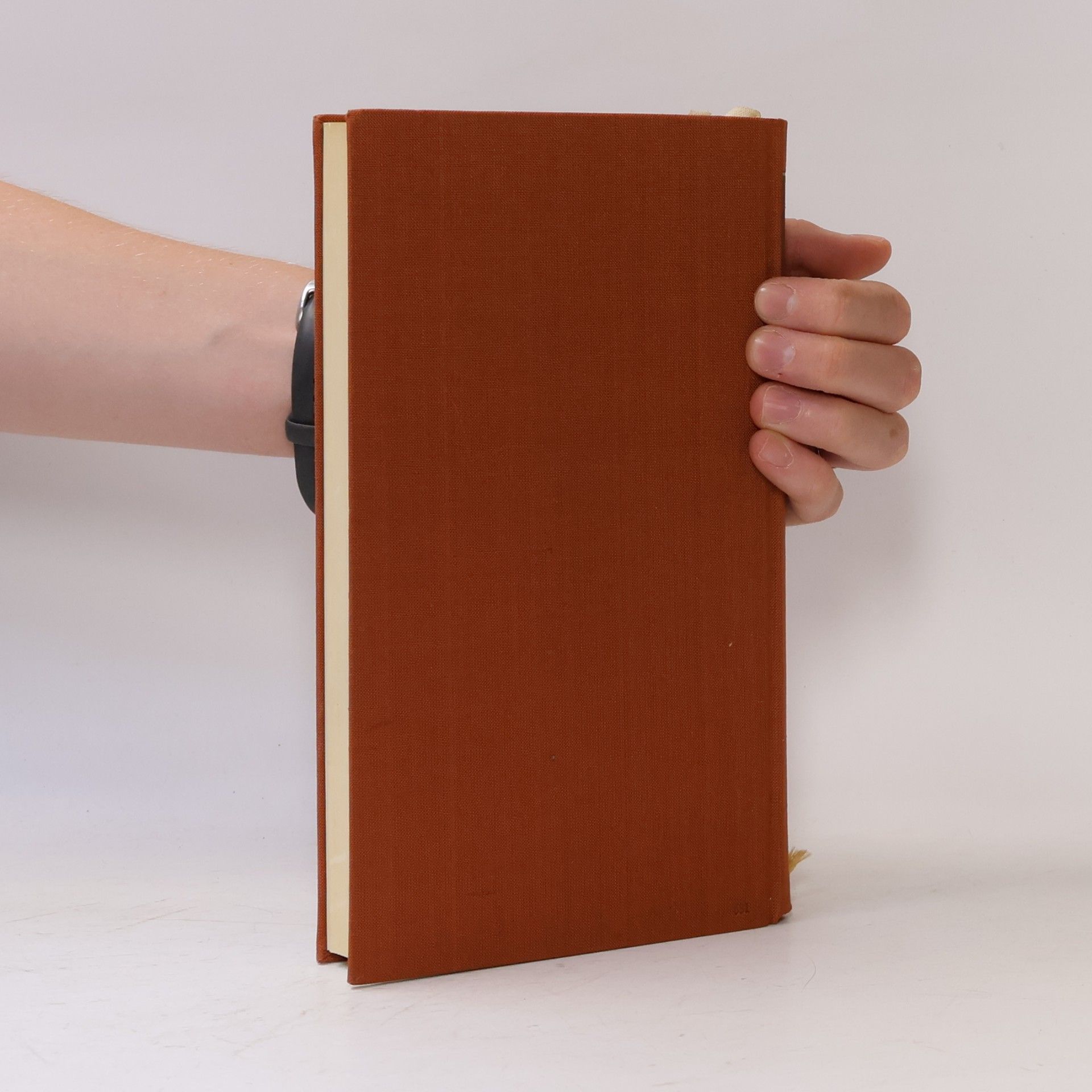Autorenkollektiv Das Neue Testament