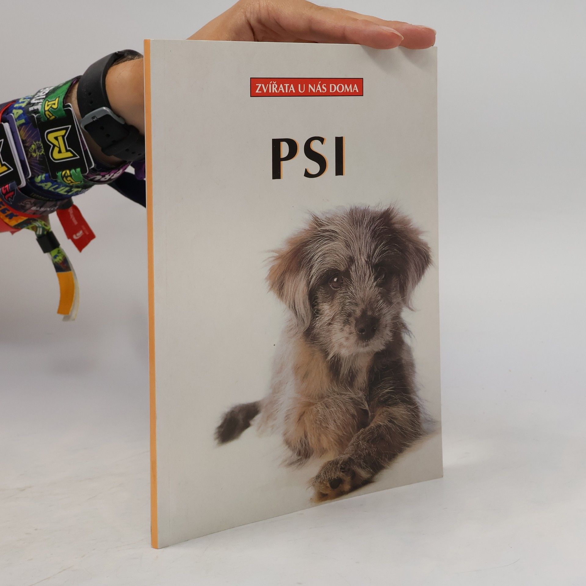 Dagmar Schratter Psi