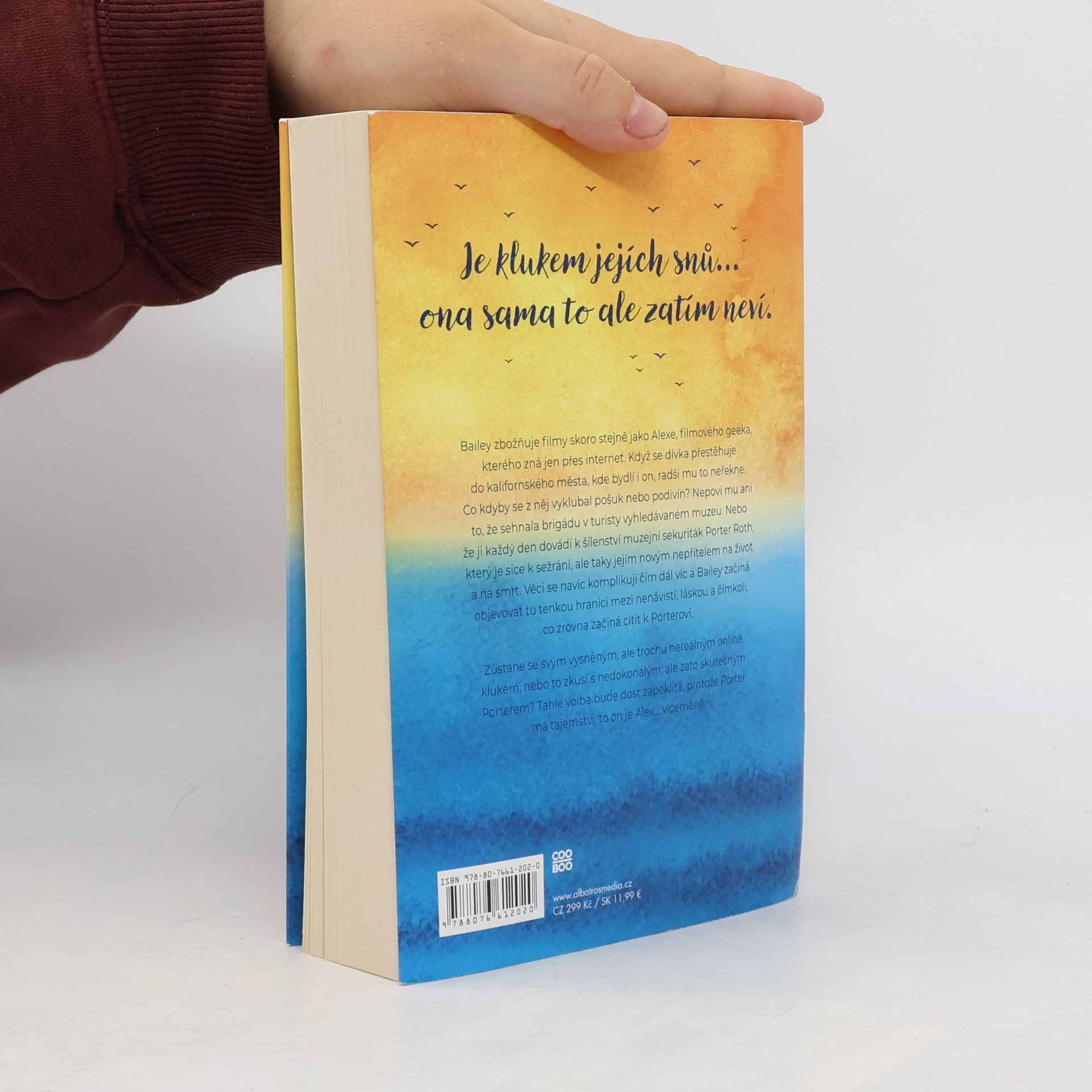 Jenn Bennett Na jedné vlně