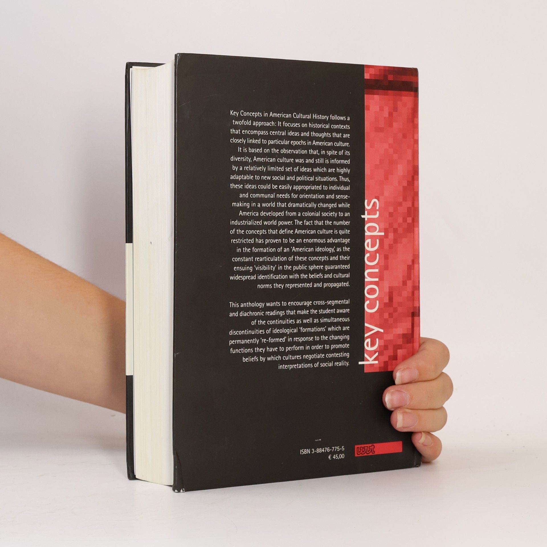 Bernd Engler Key concepts in American cultural history