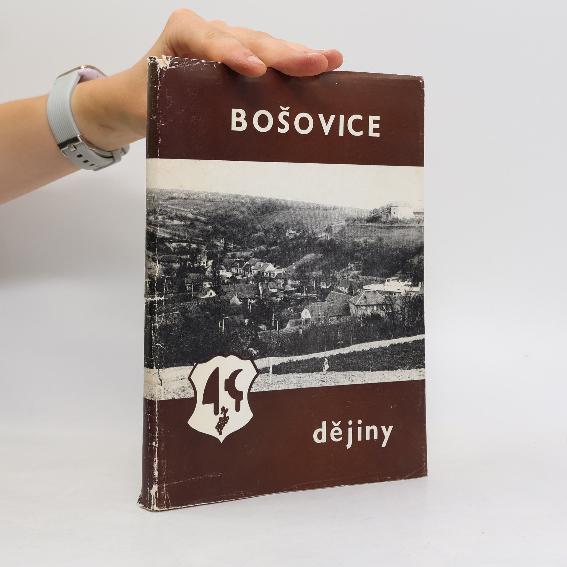 Bošovice. Dějiny
