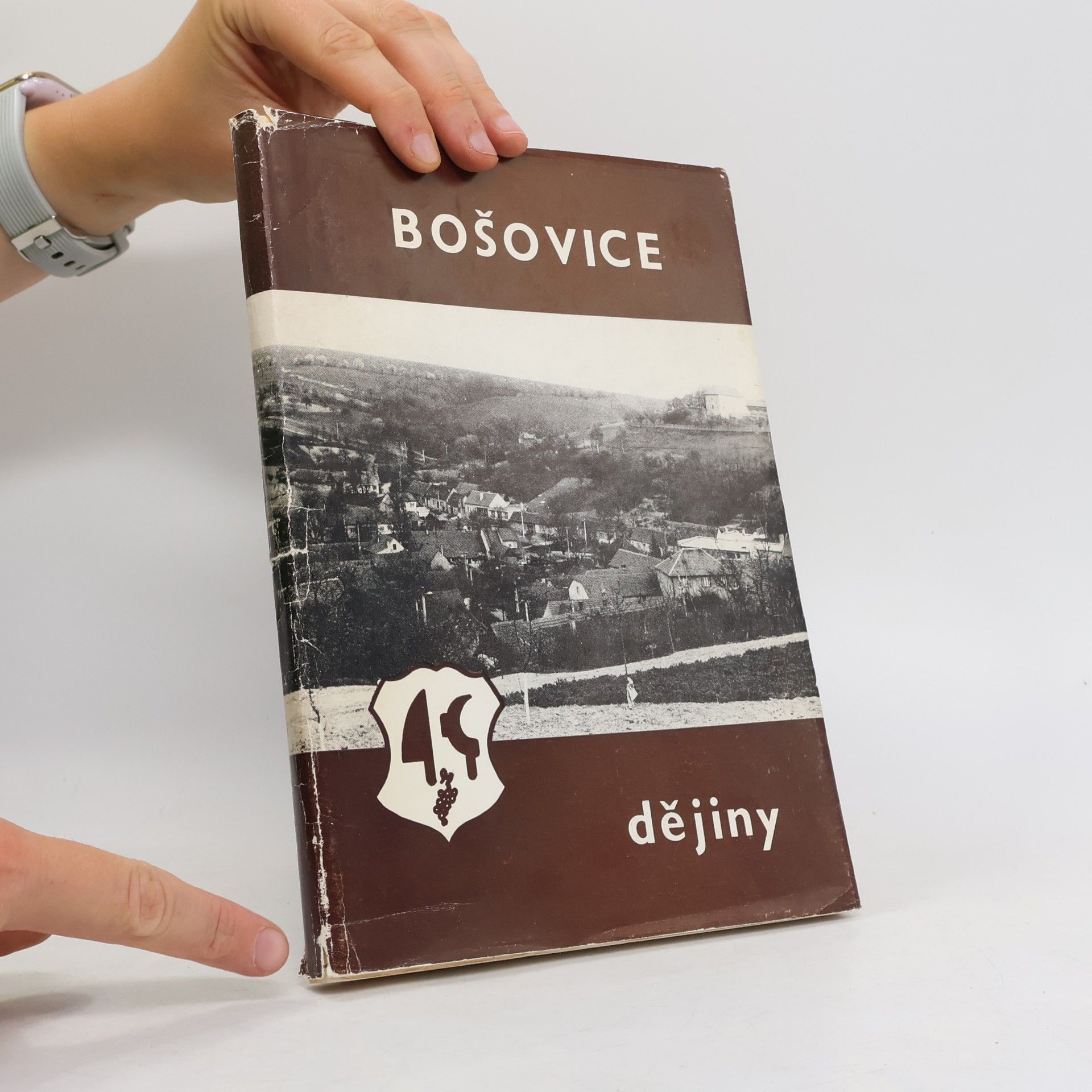 Josef Kubový Bošovice. Dějiny