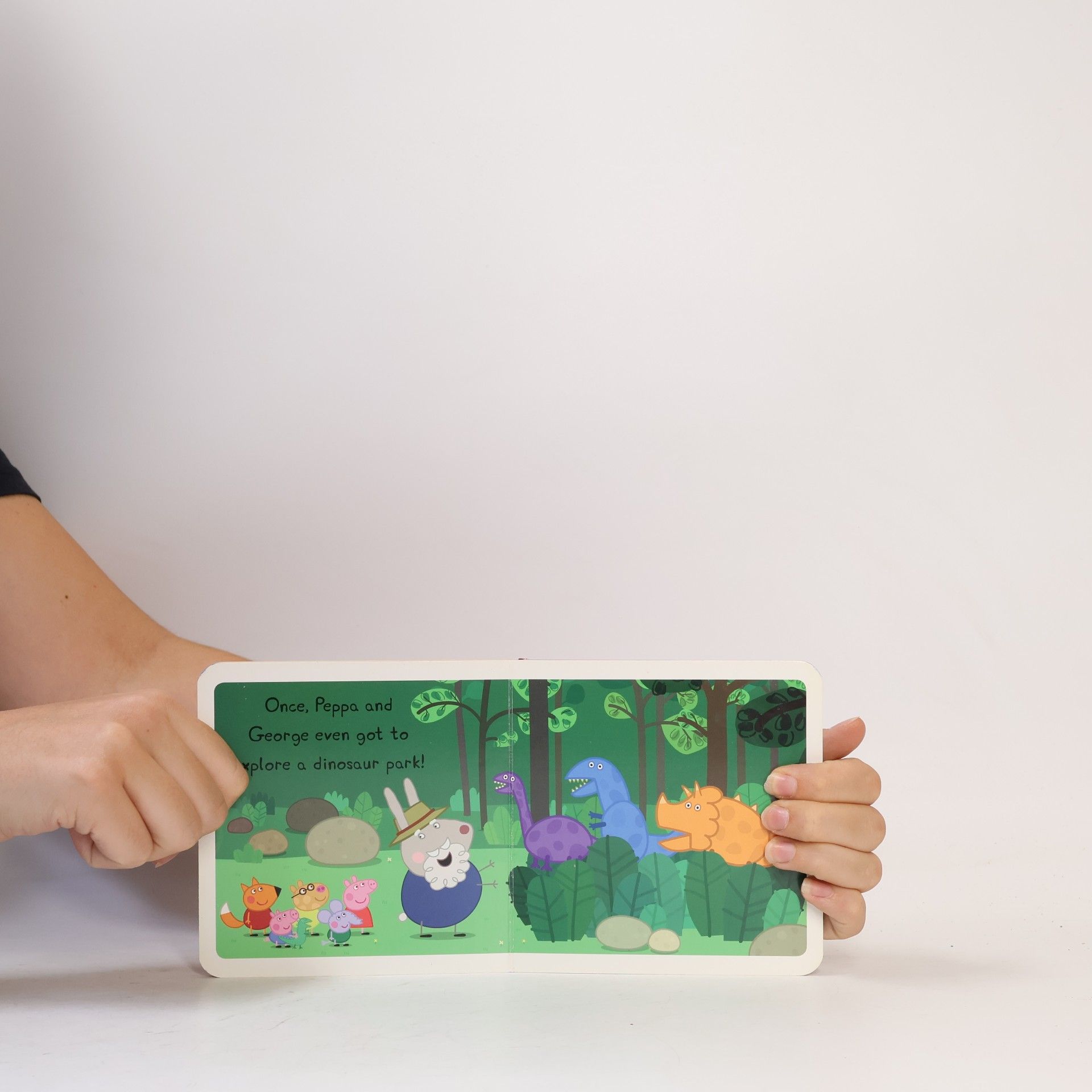 LADYBIRD BOOKS Peppa Pig