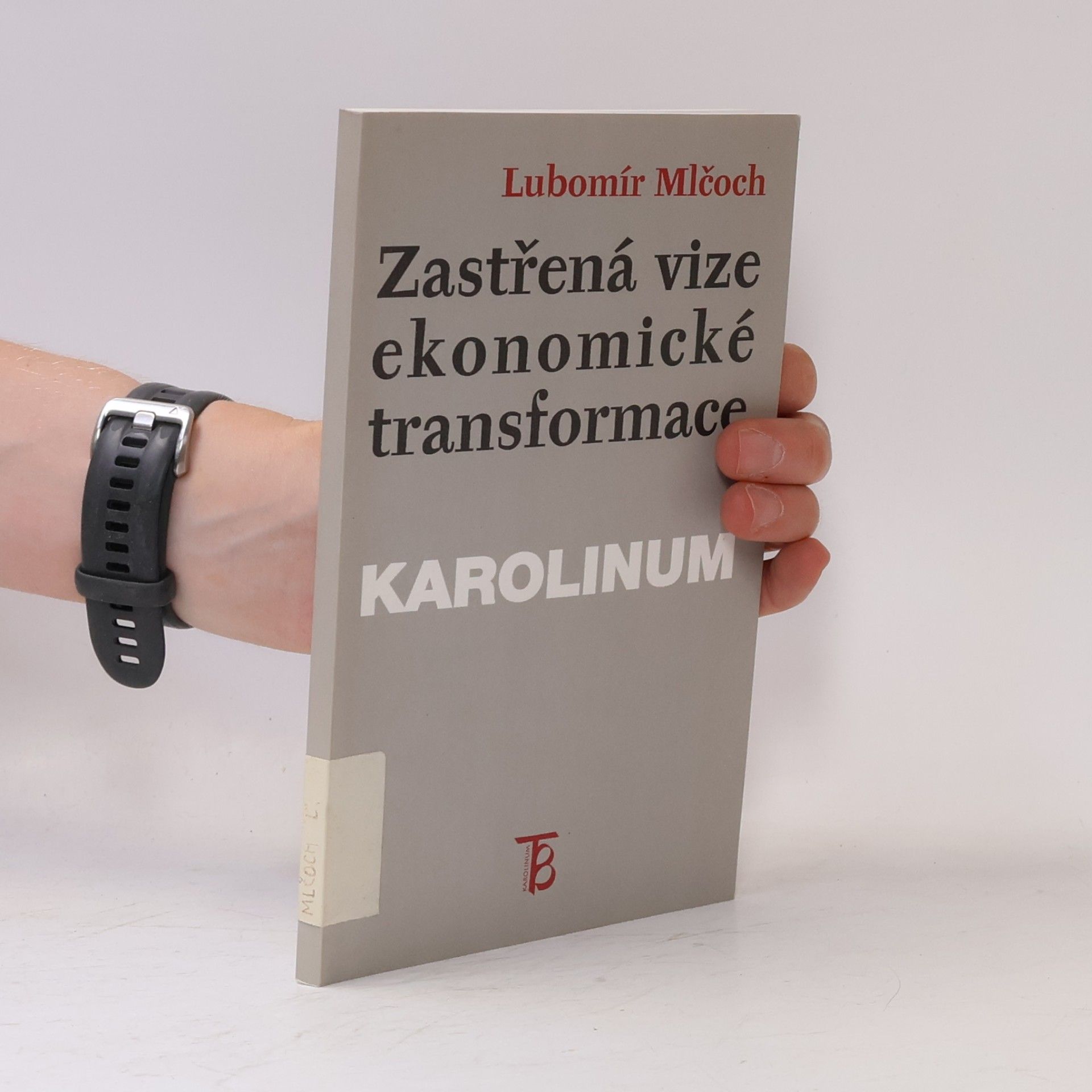 Lubomír Mlčoch Zastřená vize ekonomické transformace : česká ekonomika mezi minulostí a budoucností : (institucionální pohled)