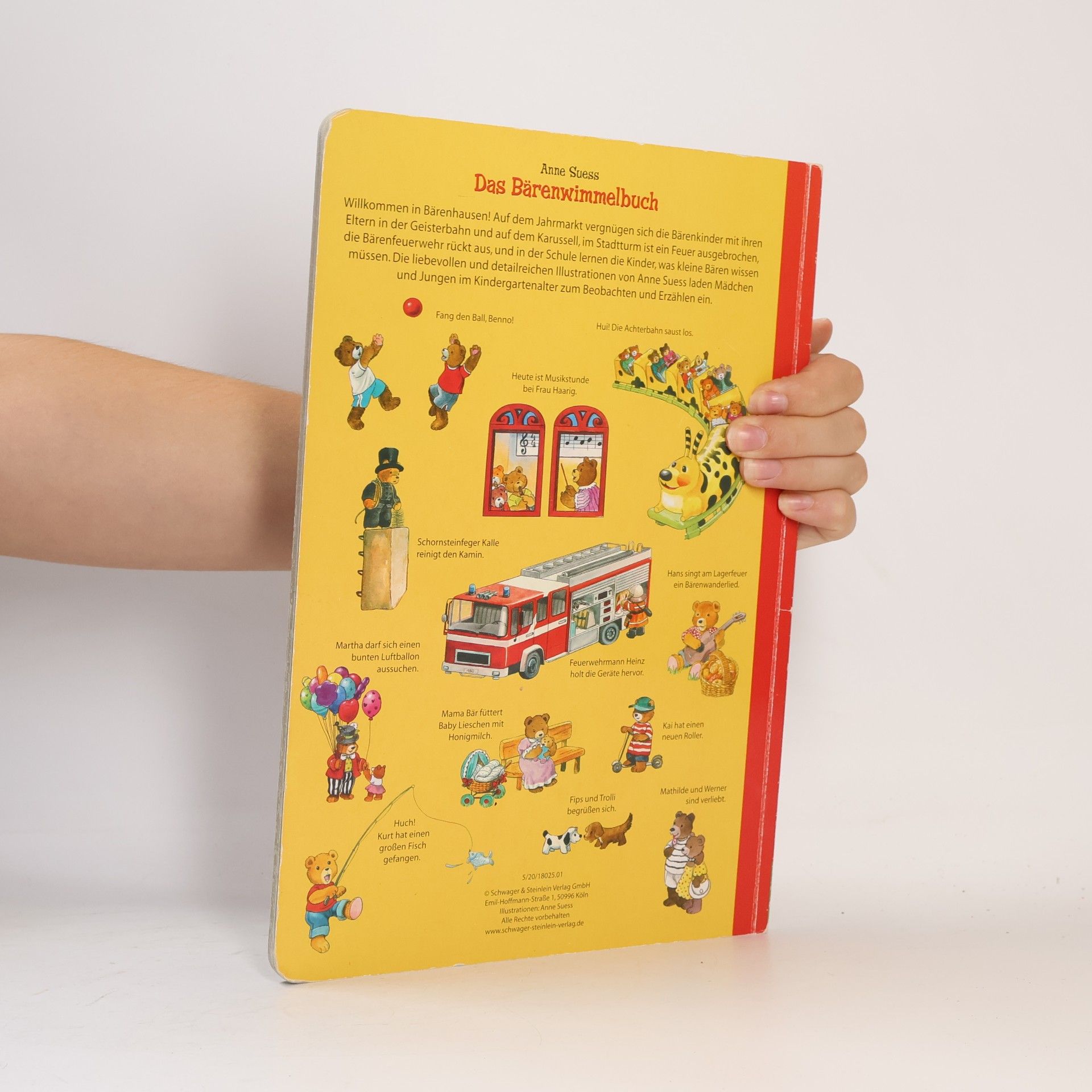 Anne Suess Das Bären Wimmelbuch