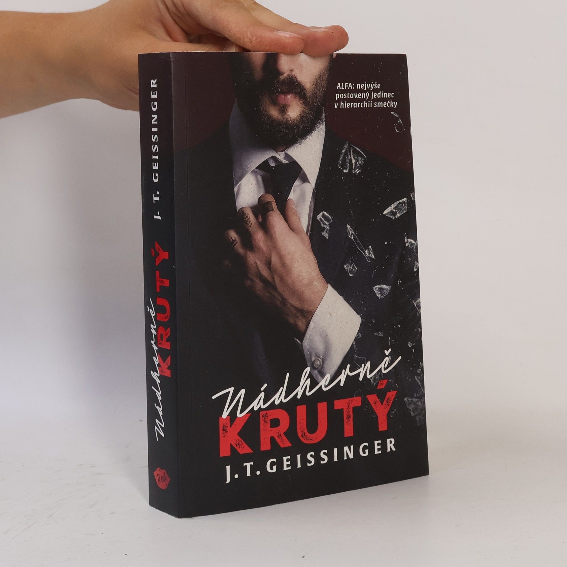 J. T. Geissinger Nádherně krutý