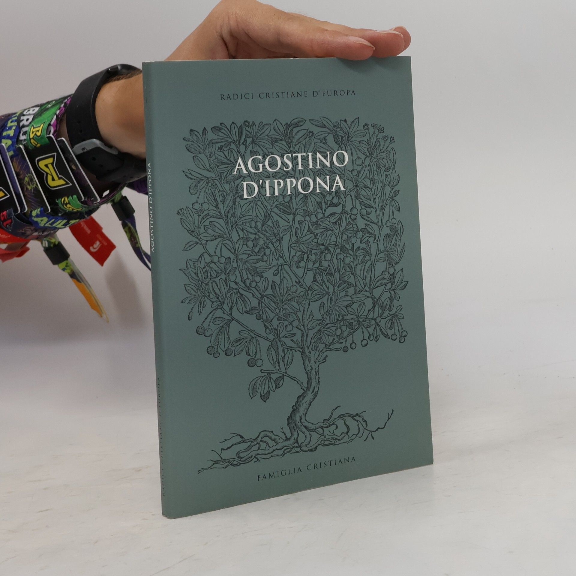 Collectif d'auteurs  Agostino d’Ippona