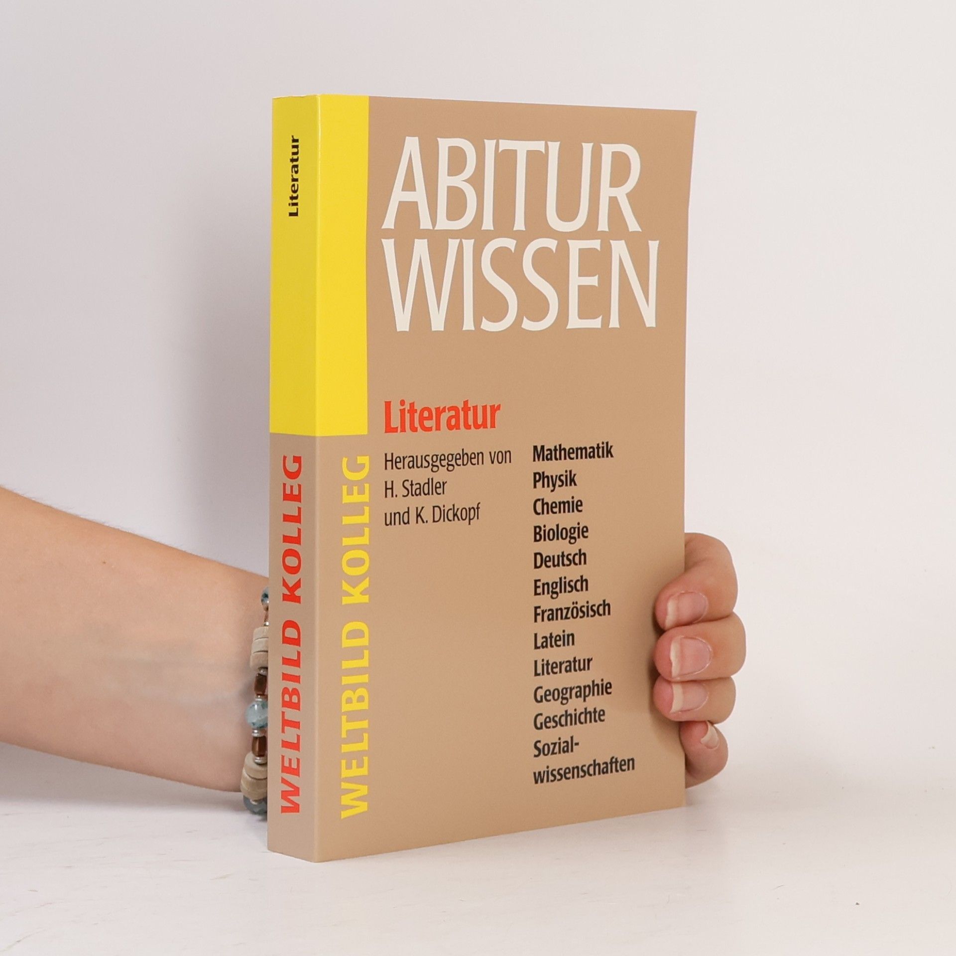 Kolektiv autorů Abitur Wissen. Literatur