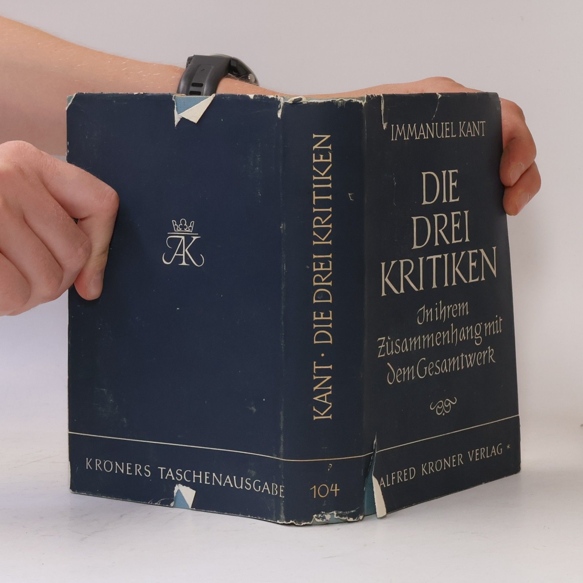 Immanuel Kant Die drei Kritiken