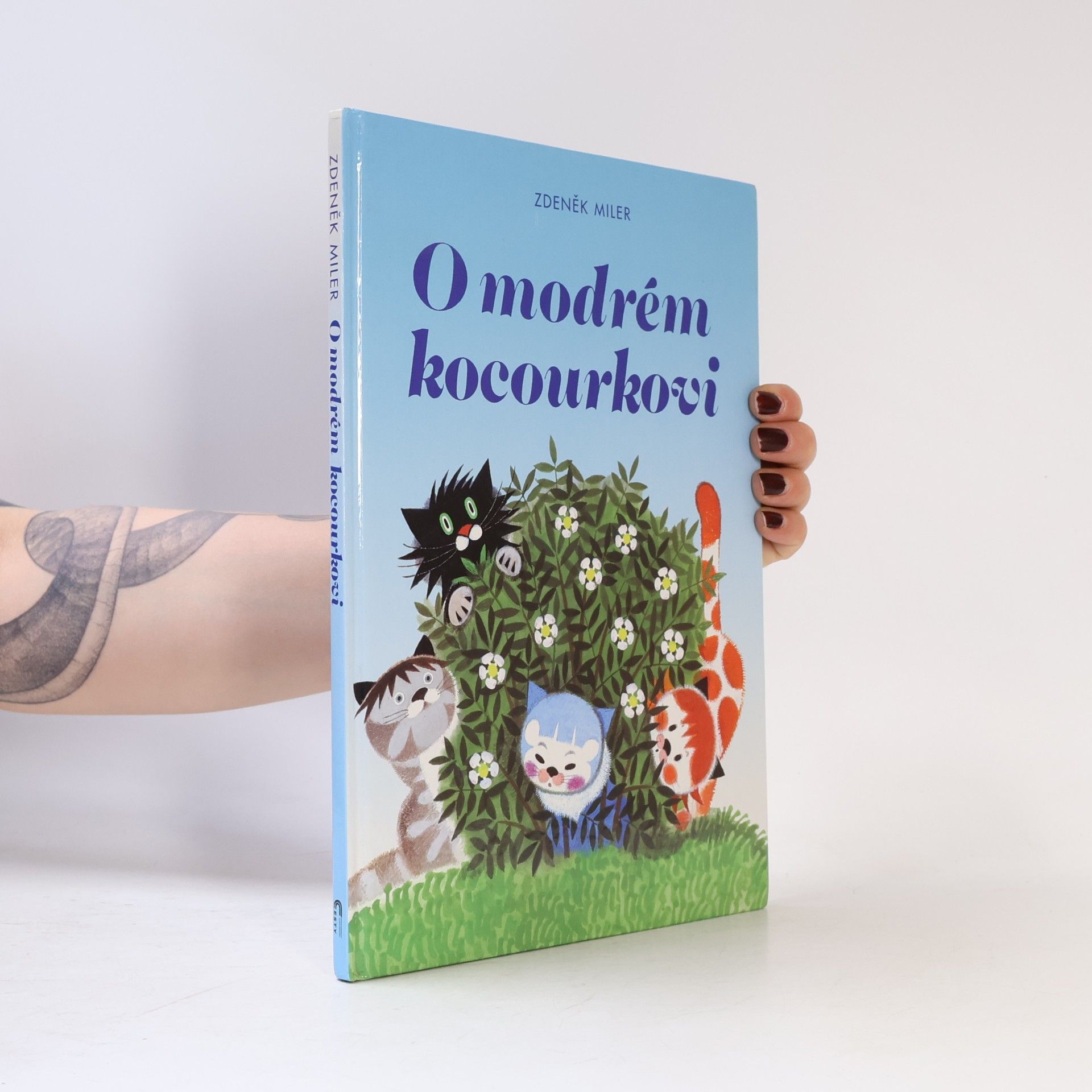 Marika Hellstrom Kennedy O modrém kocourkovi